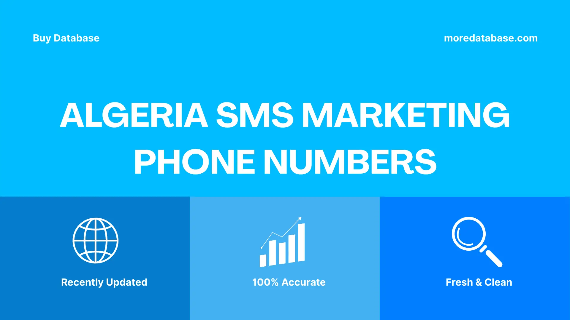 Algeria SMS Marketing Phone Numbers 100K Package