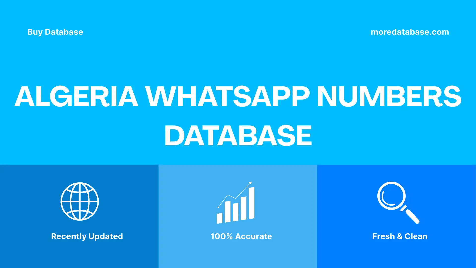 Algeria WhatsApp Numbers Database Trial Package