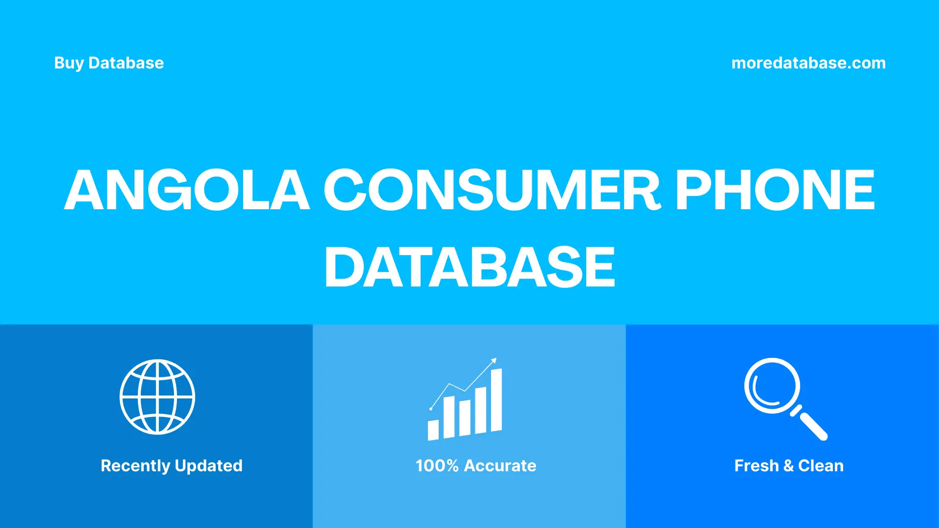 Angola Consumer Phone Database Trial Package