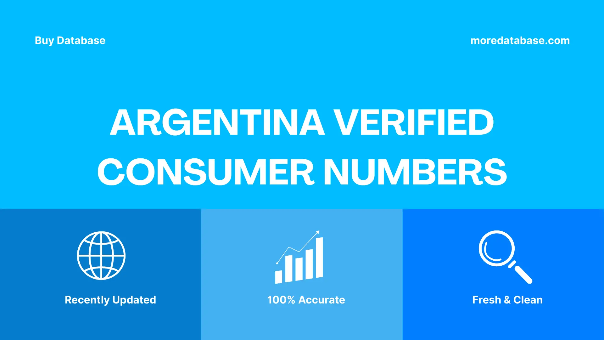 Argentina Verified Consumer Numbers 500K Package