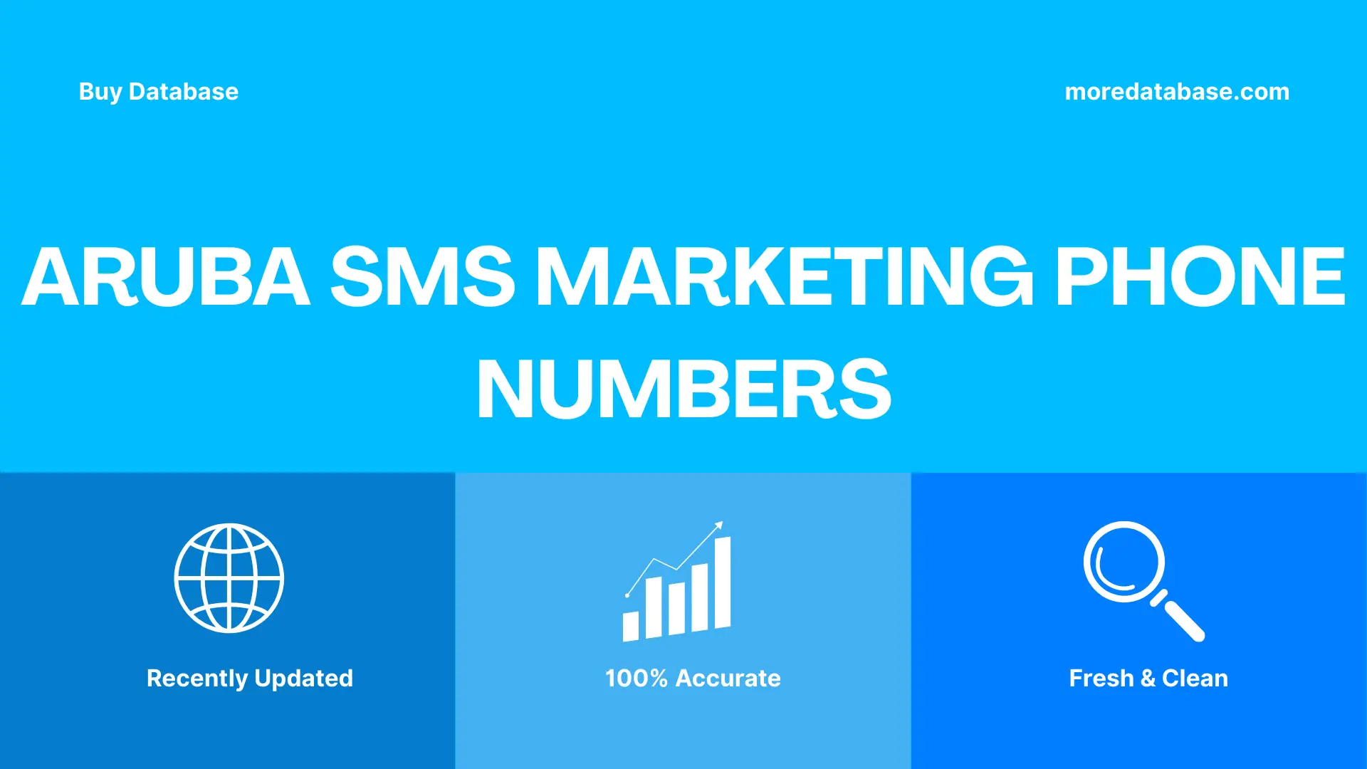 Aruba SMS Marketing Phone Numbers 100K Package