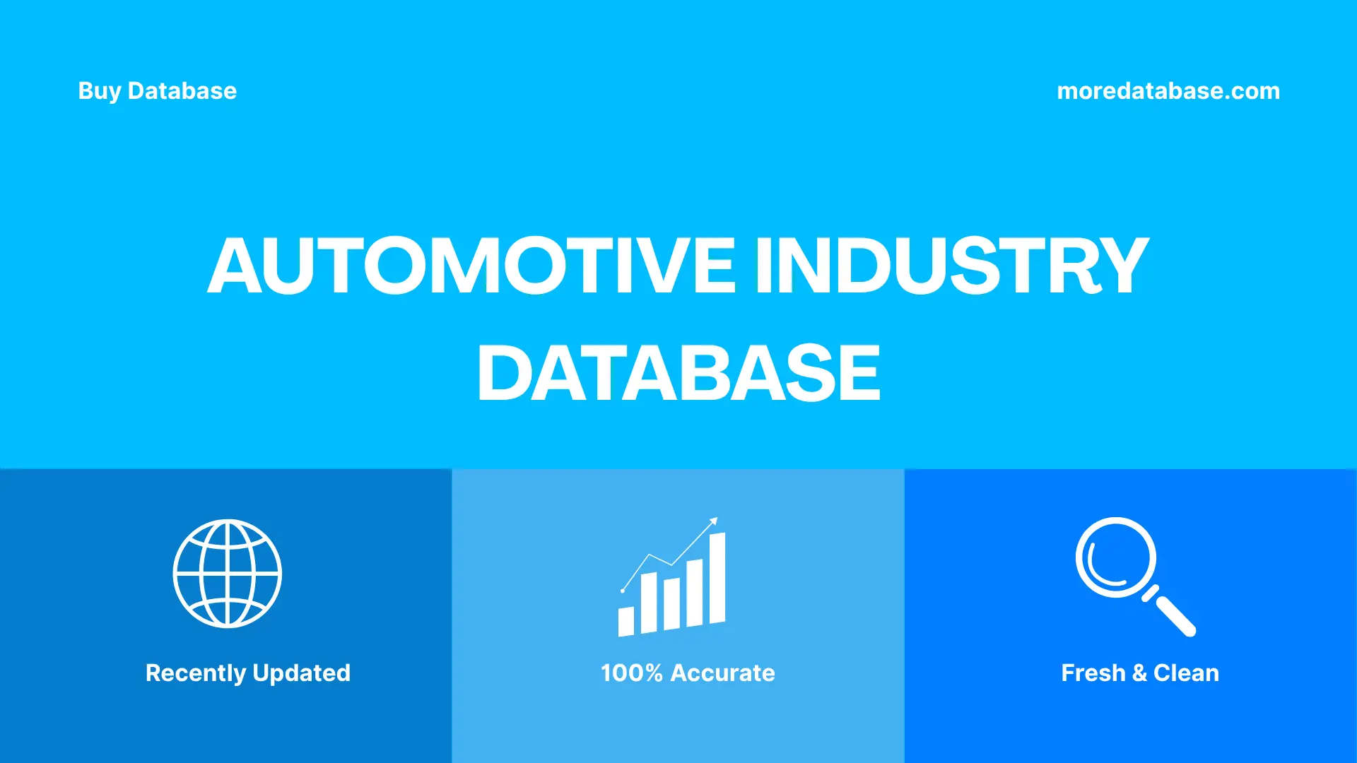 Automotive Industry Database 196,250