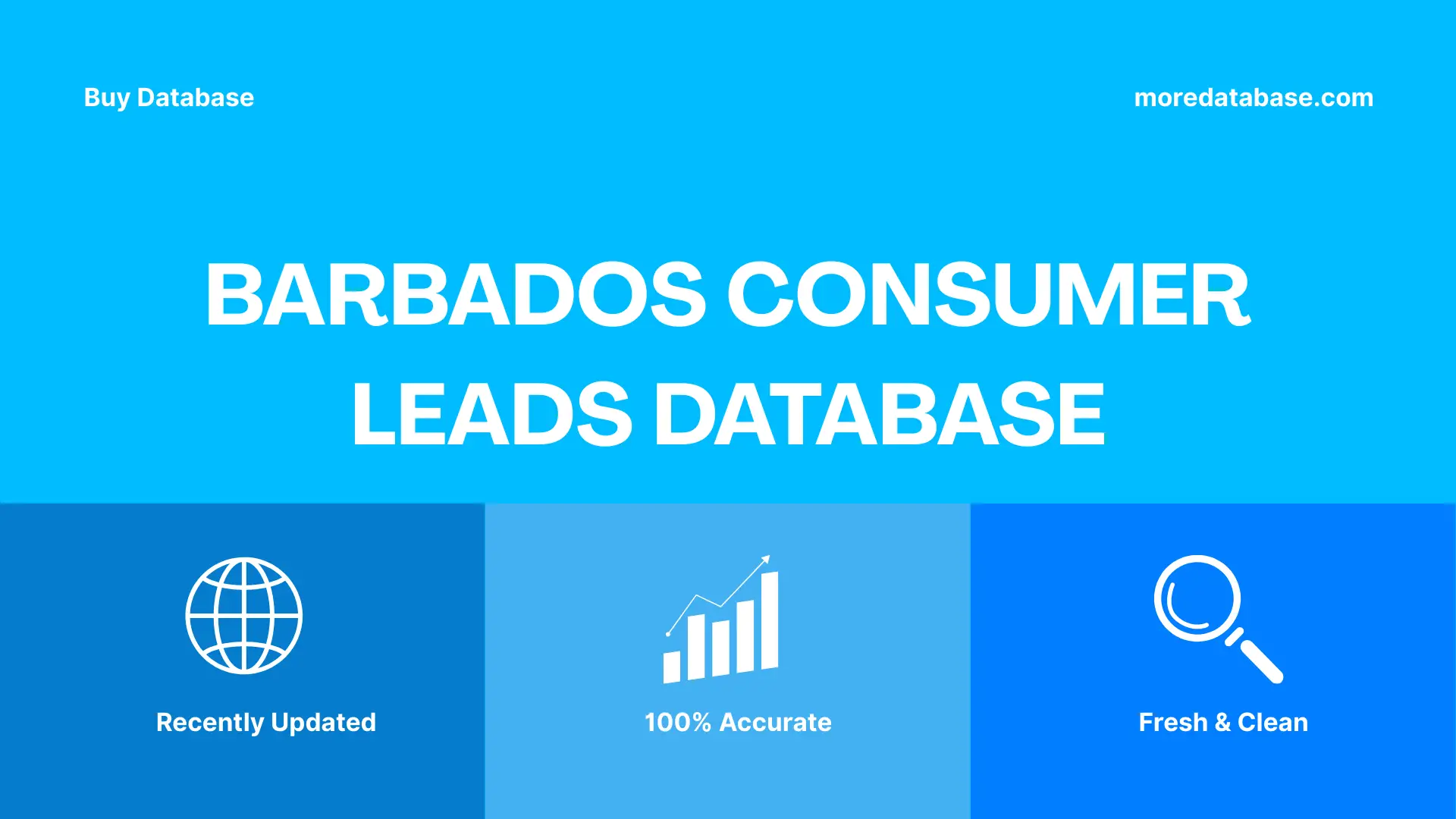 Barbados Consumer Leads Database 100K Package