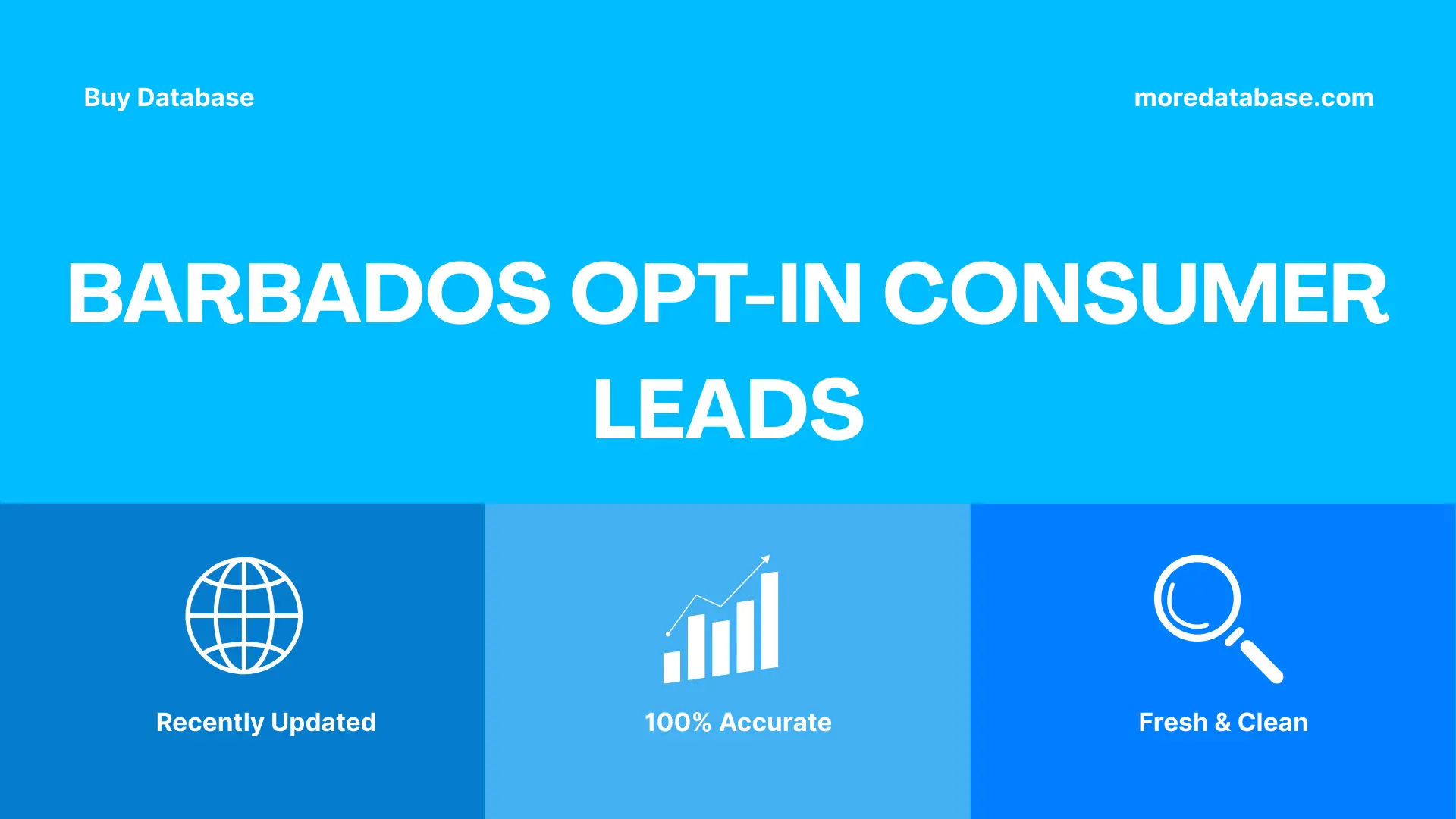 Barbados Opt-In Consumer Leads 100K Package