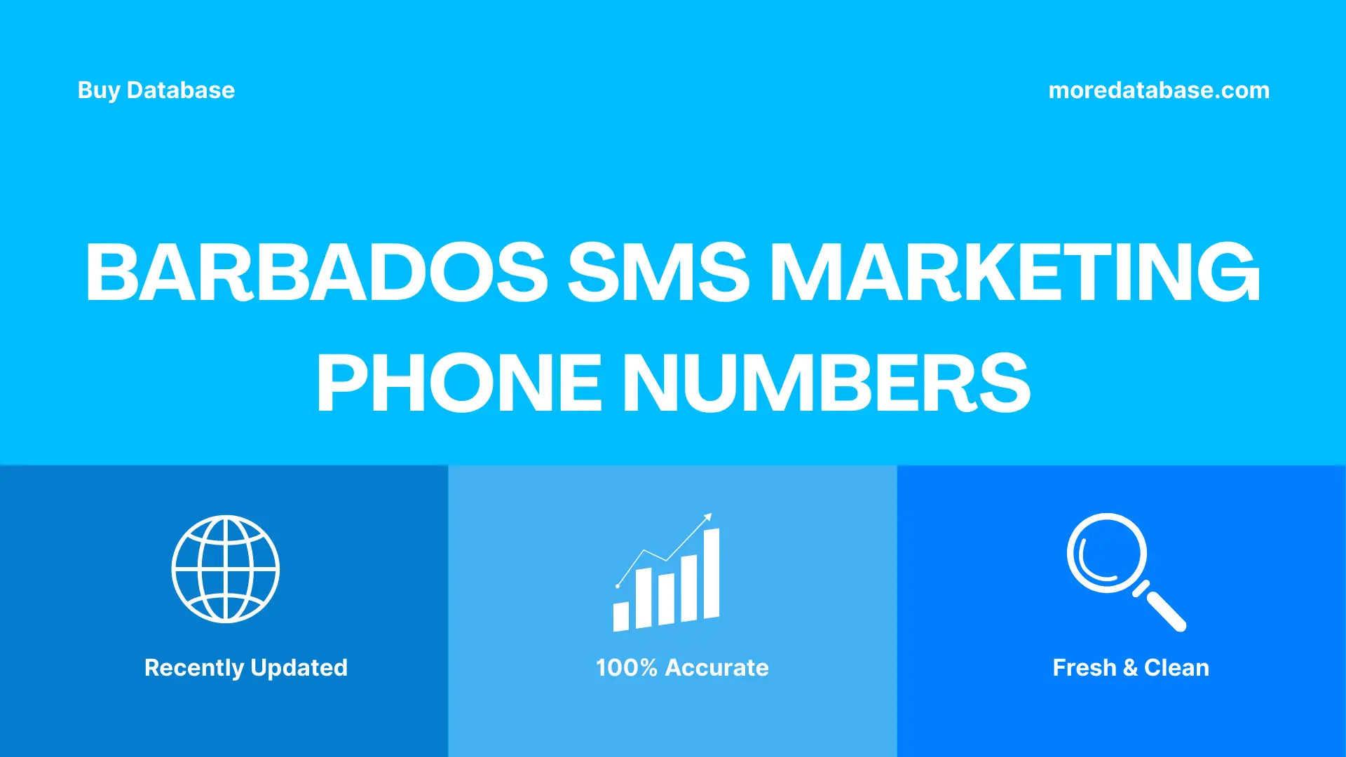 Barbados SMS Marketing Phone Numbers 100K Package