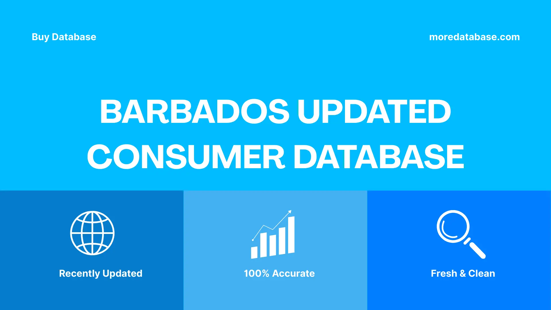 Barbados Updated Consumer Database 100K Package
