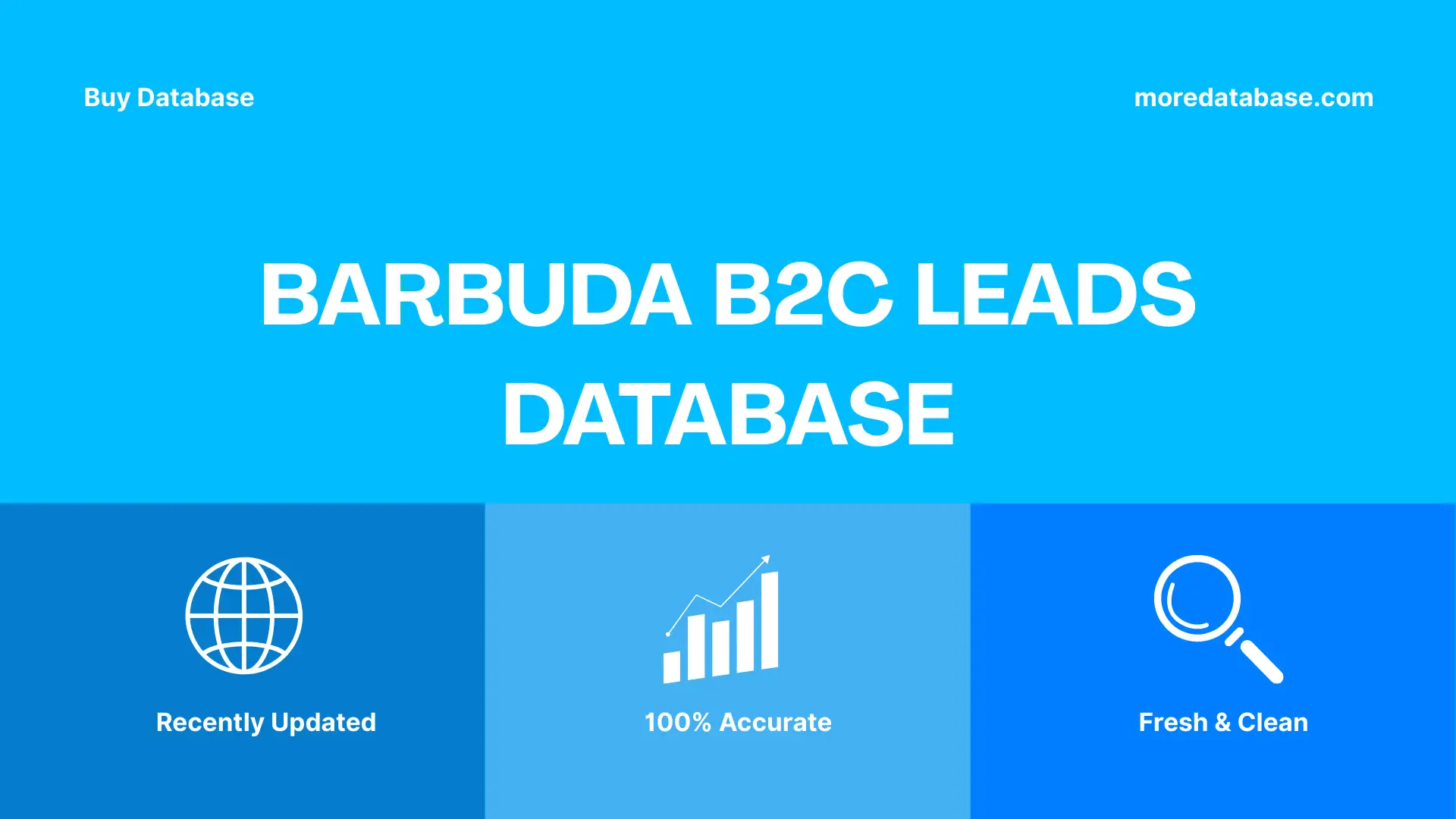 Barbuda B2C Leads Database Trial Package