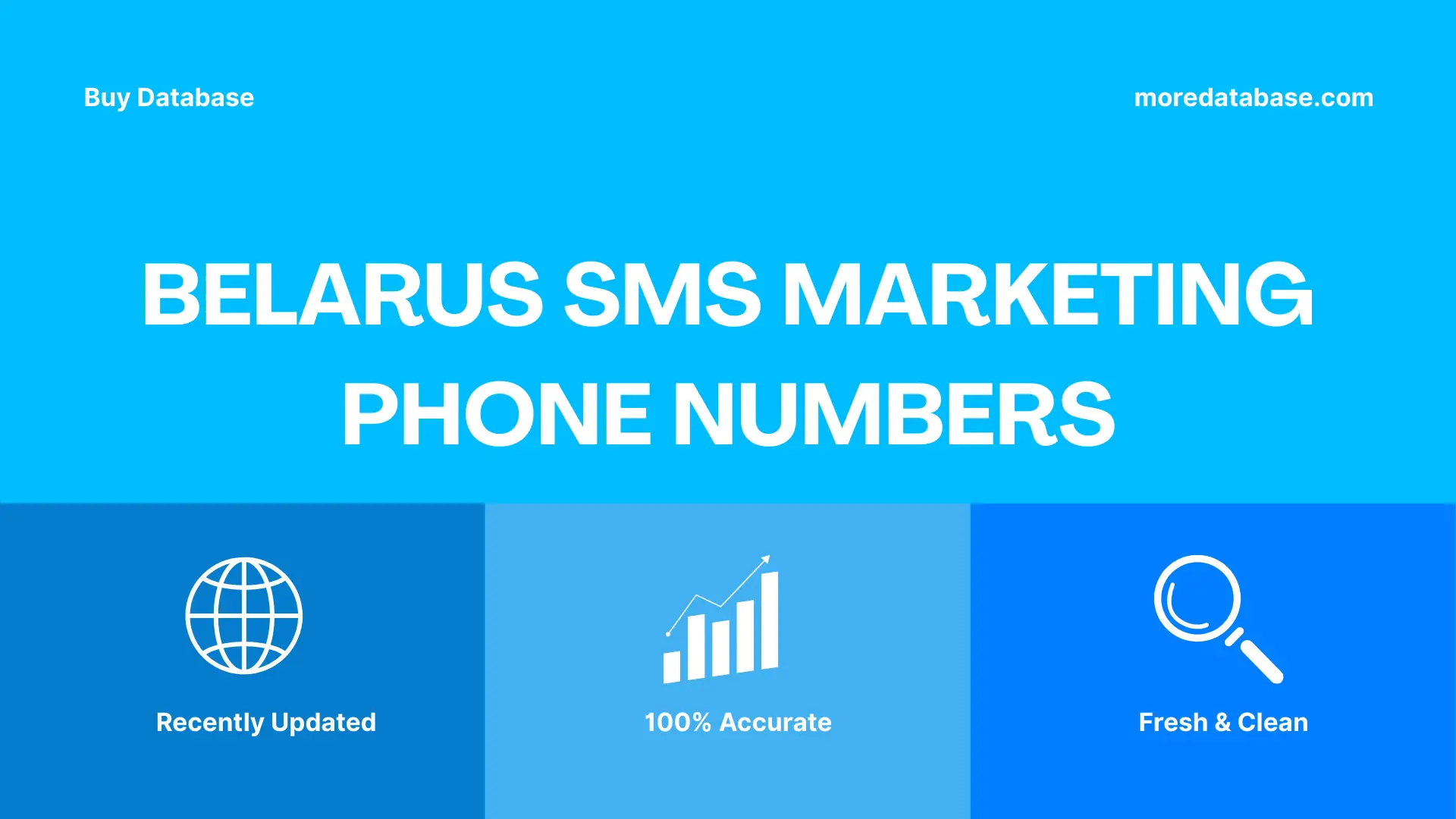 Belarus SMS Marketing Phone Numbers 100K Package