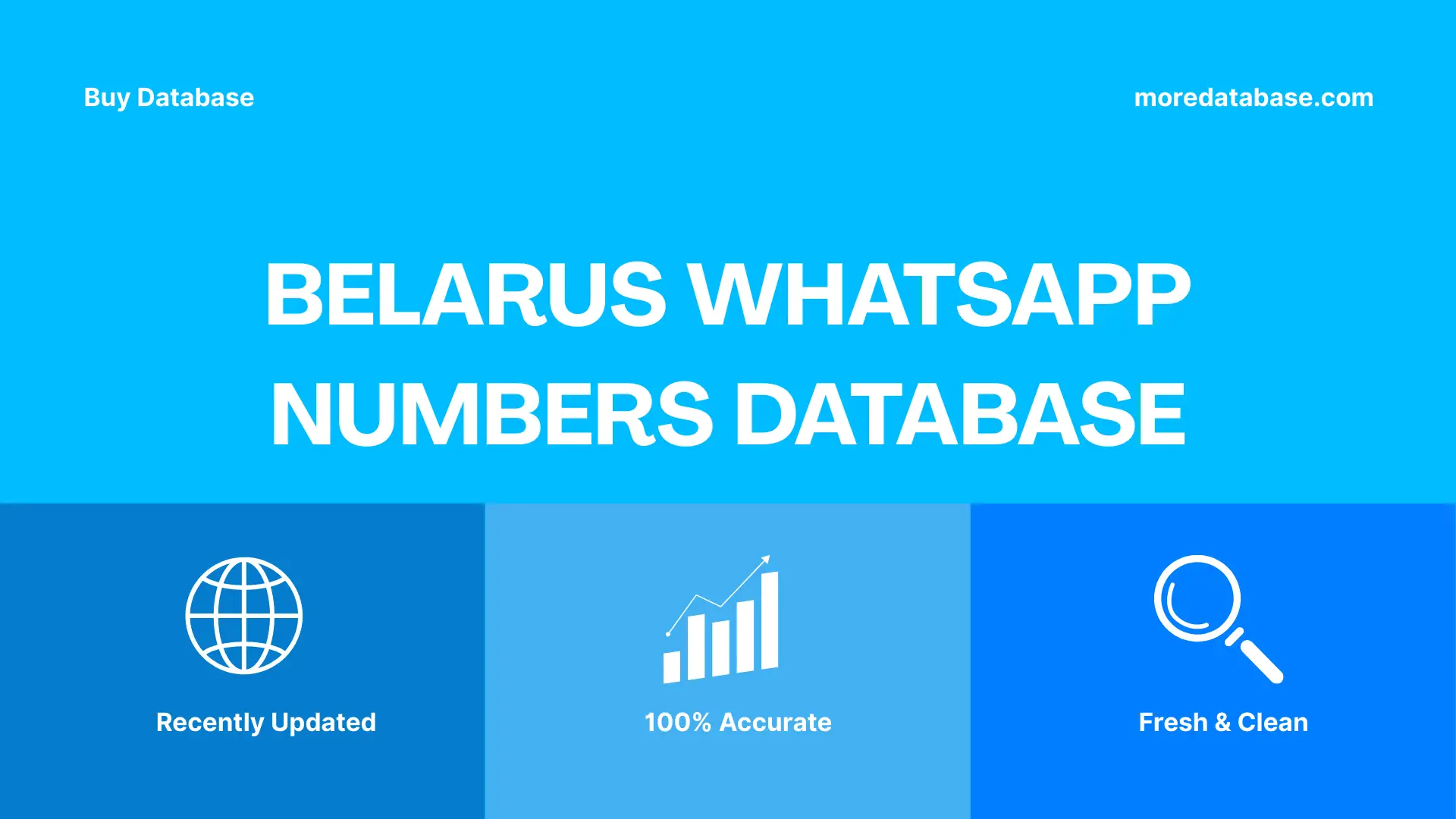 Belarus WhatsApp Numbers Database 500K Package