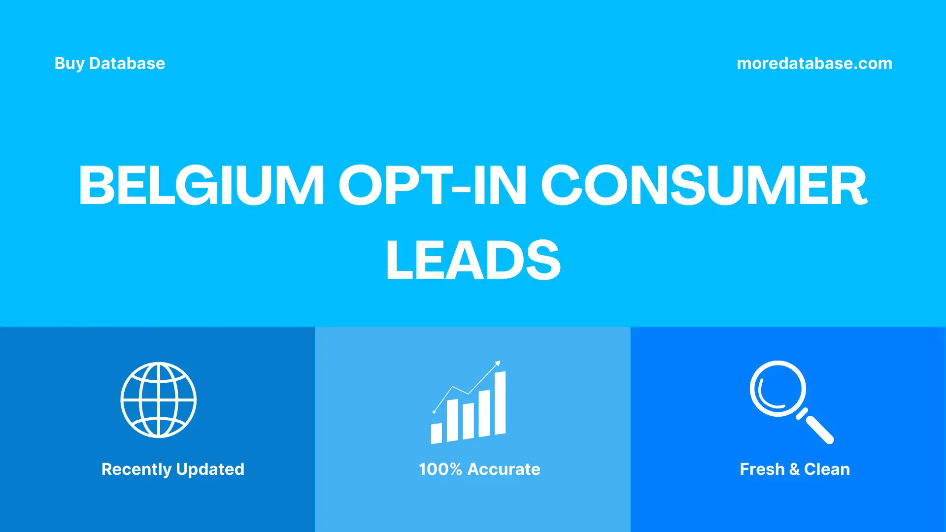 Belgium Opt-In Consumer Leads 500K Package
