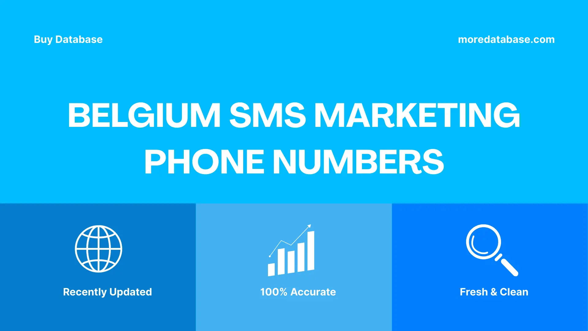 Belgium SMS Marketing Phone Numbers 100K Package