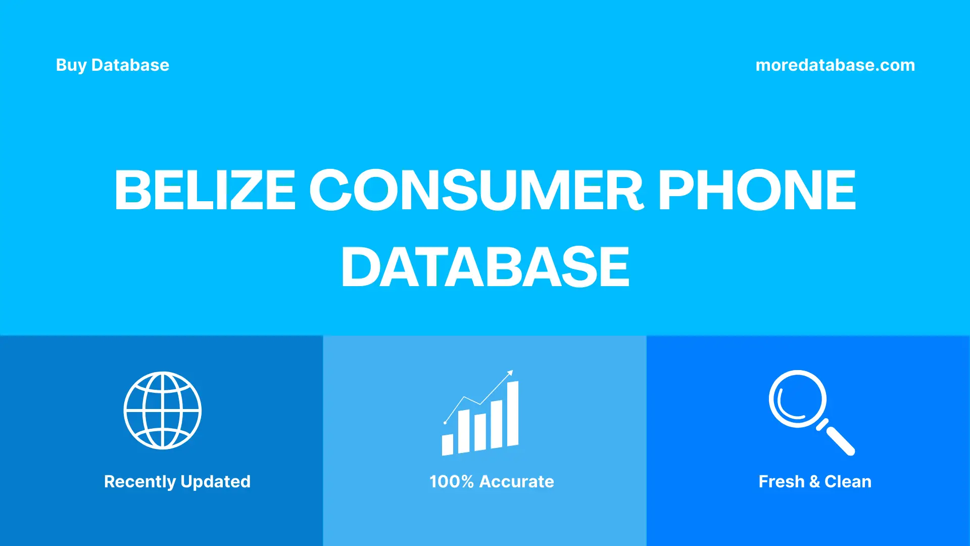 Belize Consumer Phone Database Trial Package