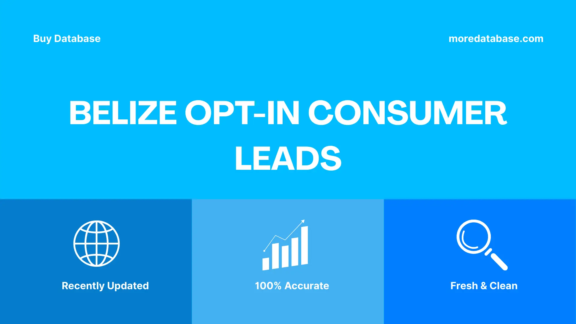 Belize Opt-In Consumer Leads 100K Package