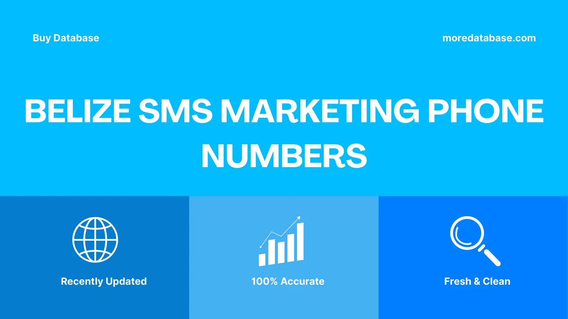 Belize SMS Marketing Phone Numbers 100K Package