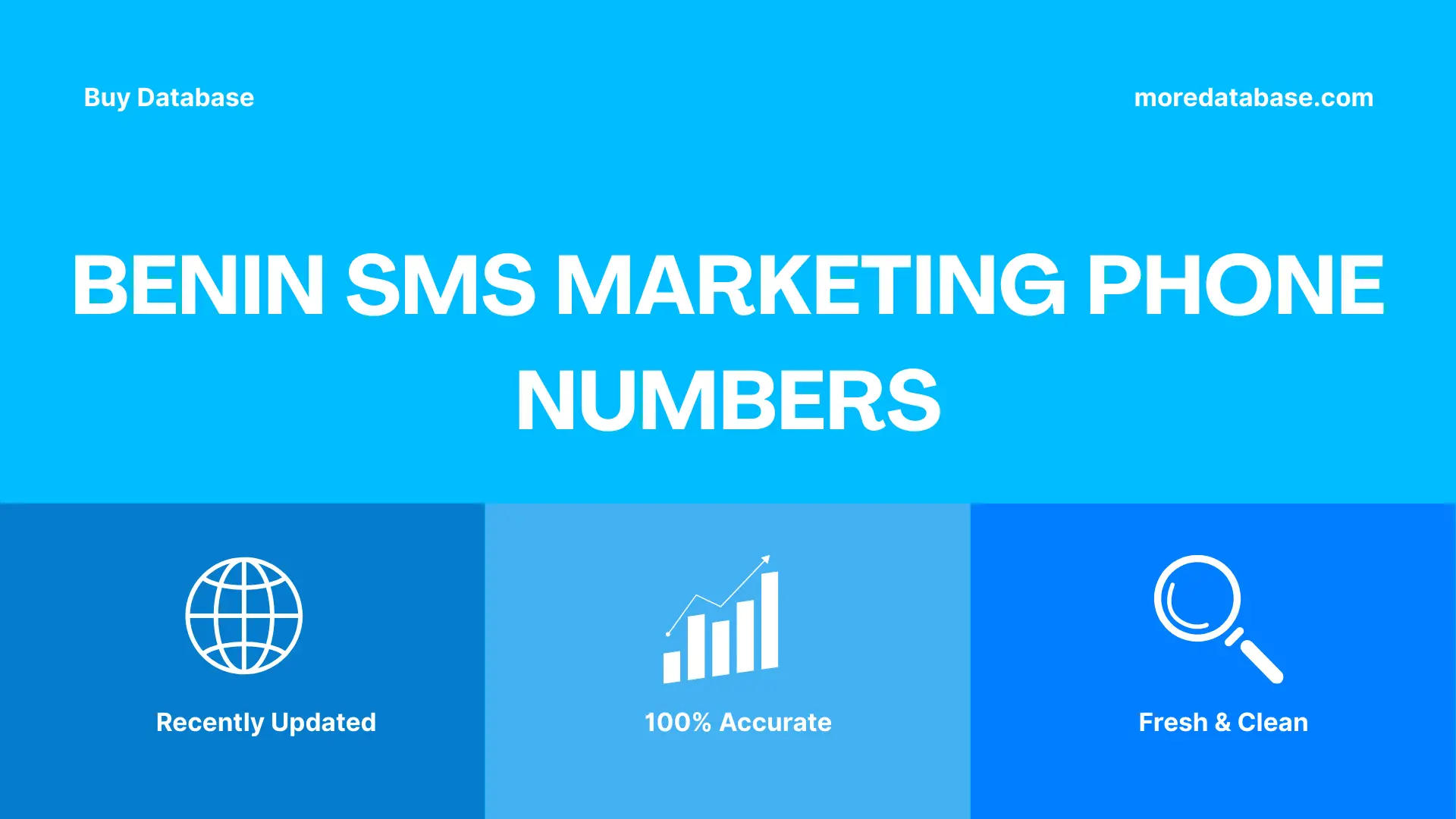 Benin SMS Marketing Phone Numbers 100K Package
