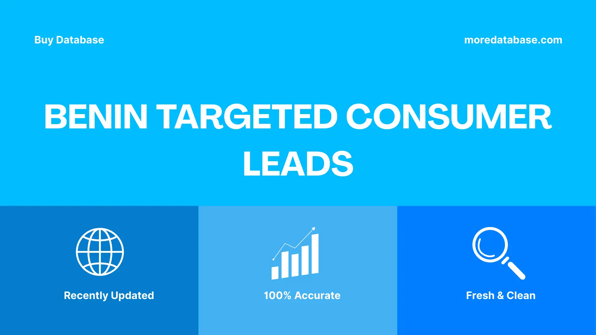 Benin Targeted Consumer Leads 100K Package