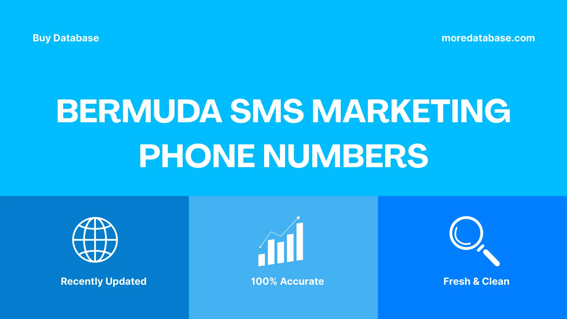 Bermuda SMS Marketing Phone Numbers 100K Package
