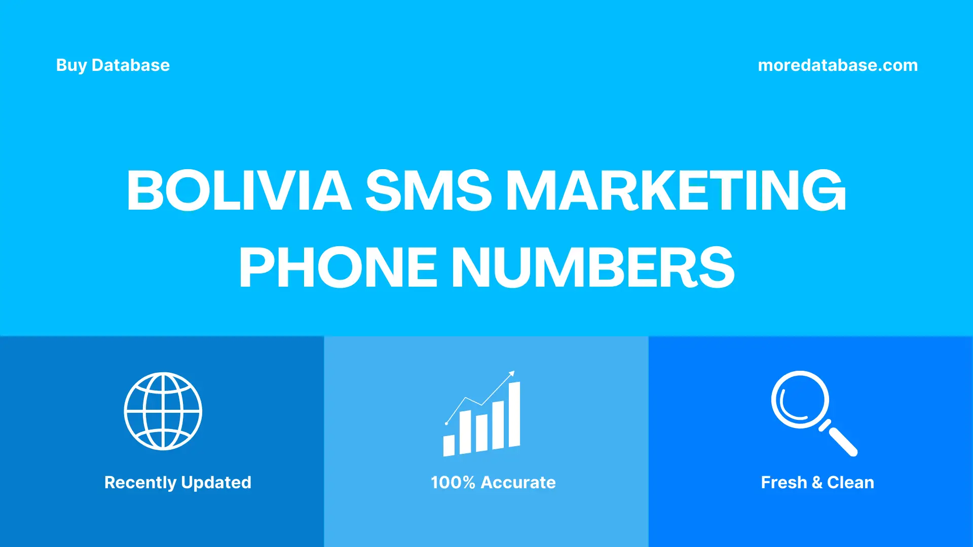Bolivia SMS Marketing Phone Numbers 100K Package