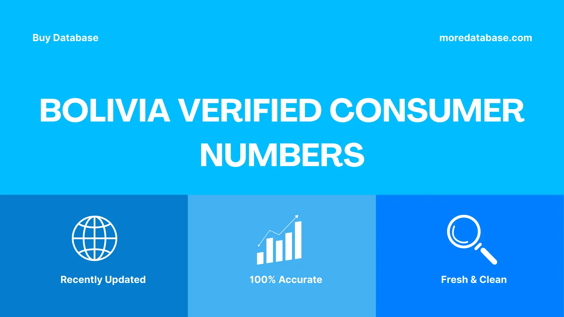 Bolivia Verified Consumer Numbers Trial Package