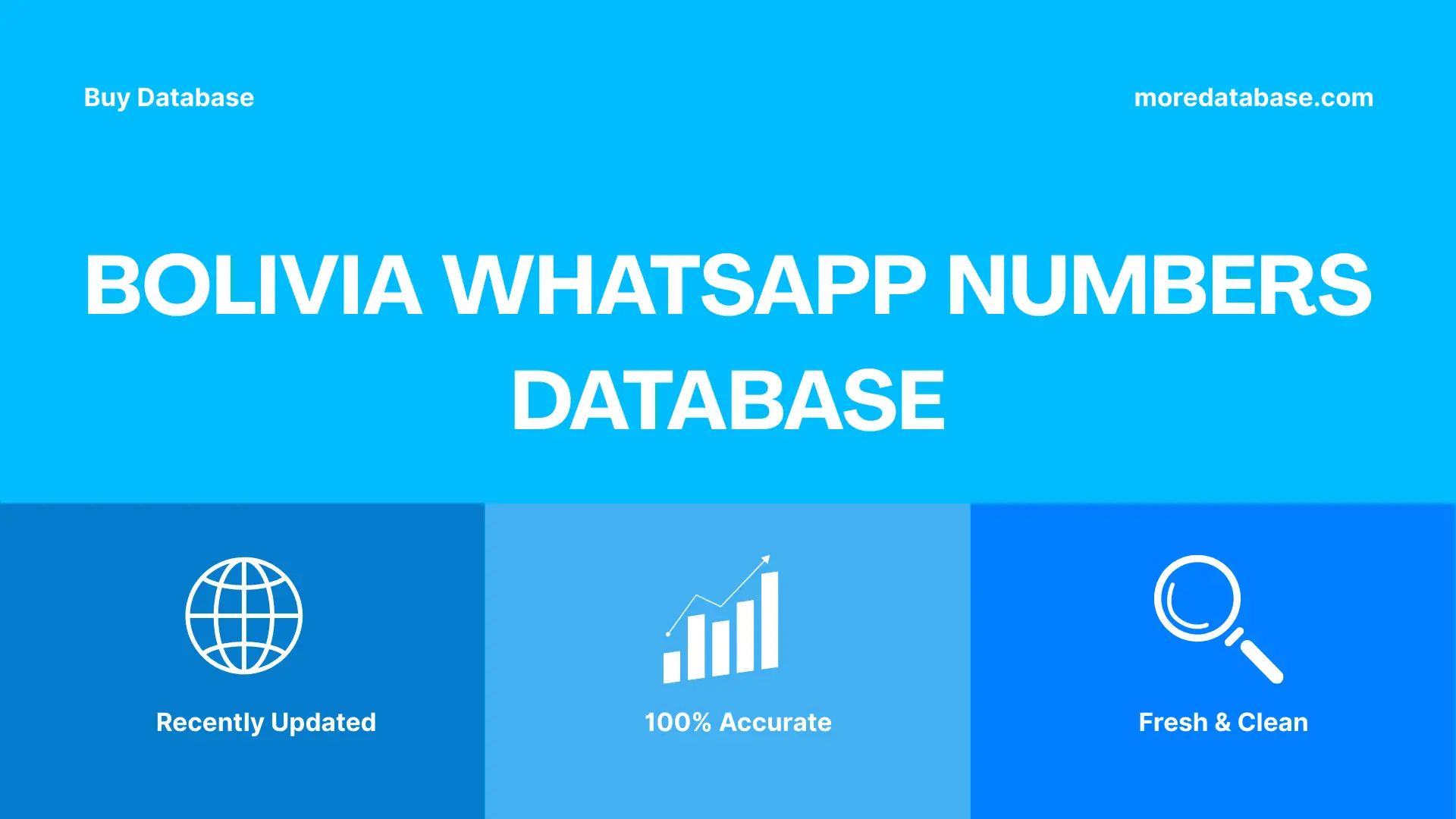 Bolivia WhatsApp Numbers Database Trial Package