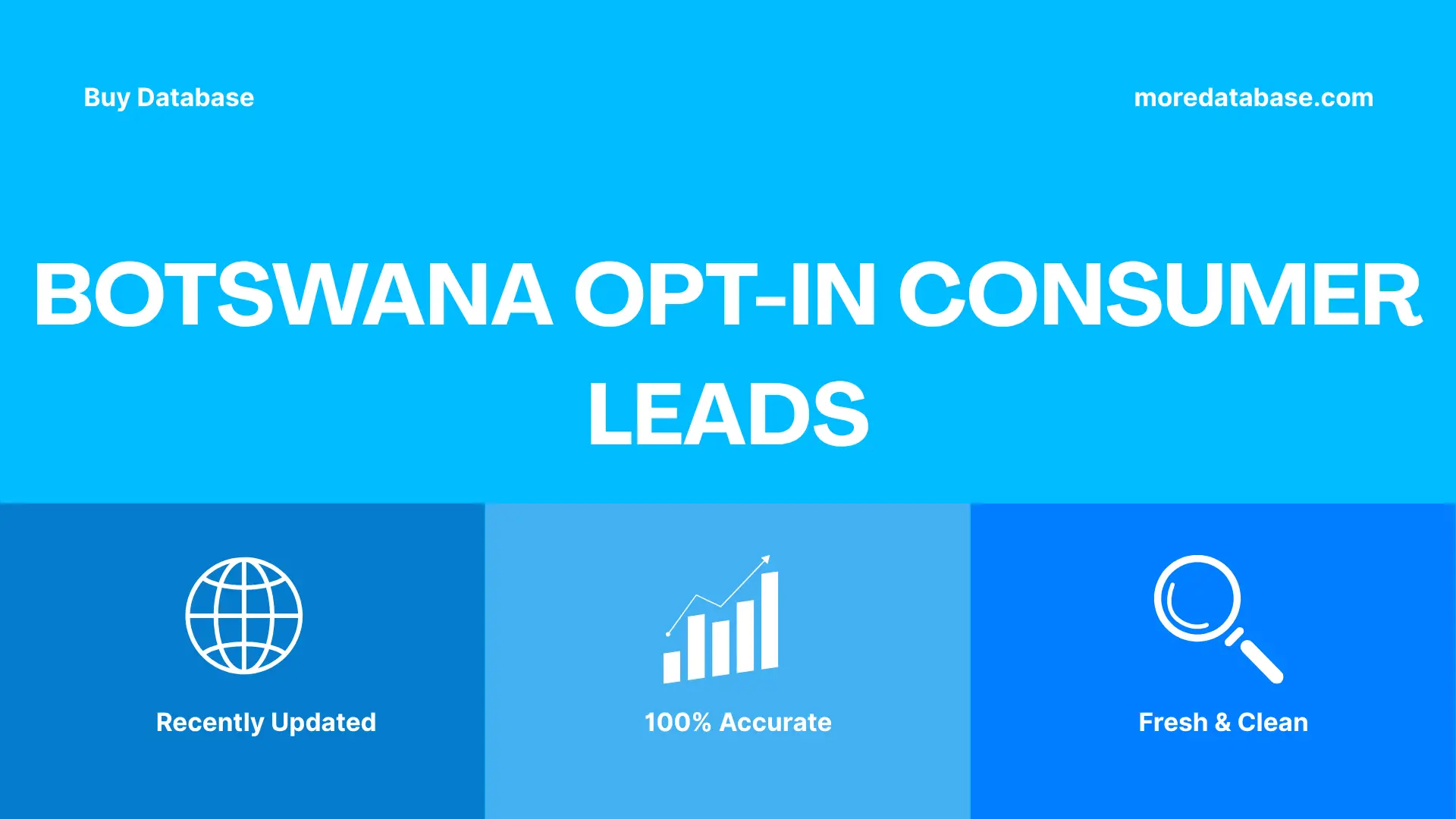 Botswana Opt-In Consumer Leads 100K Package