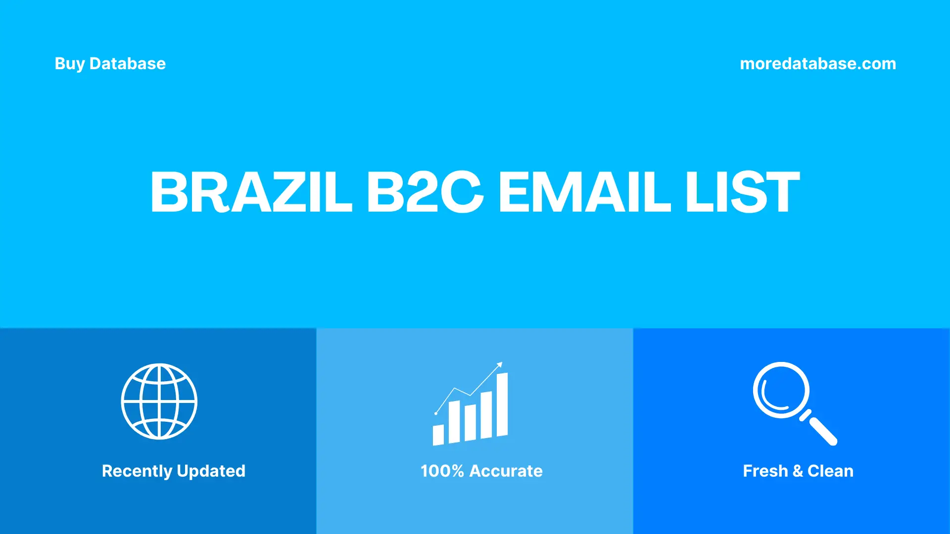 Brazil B2C Email List 20 Million