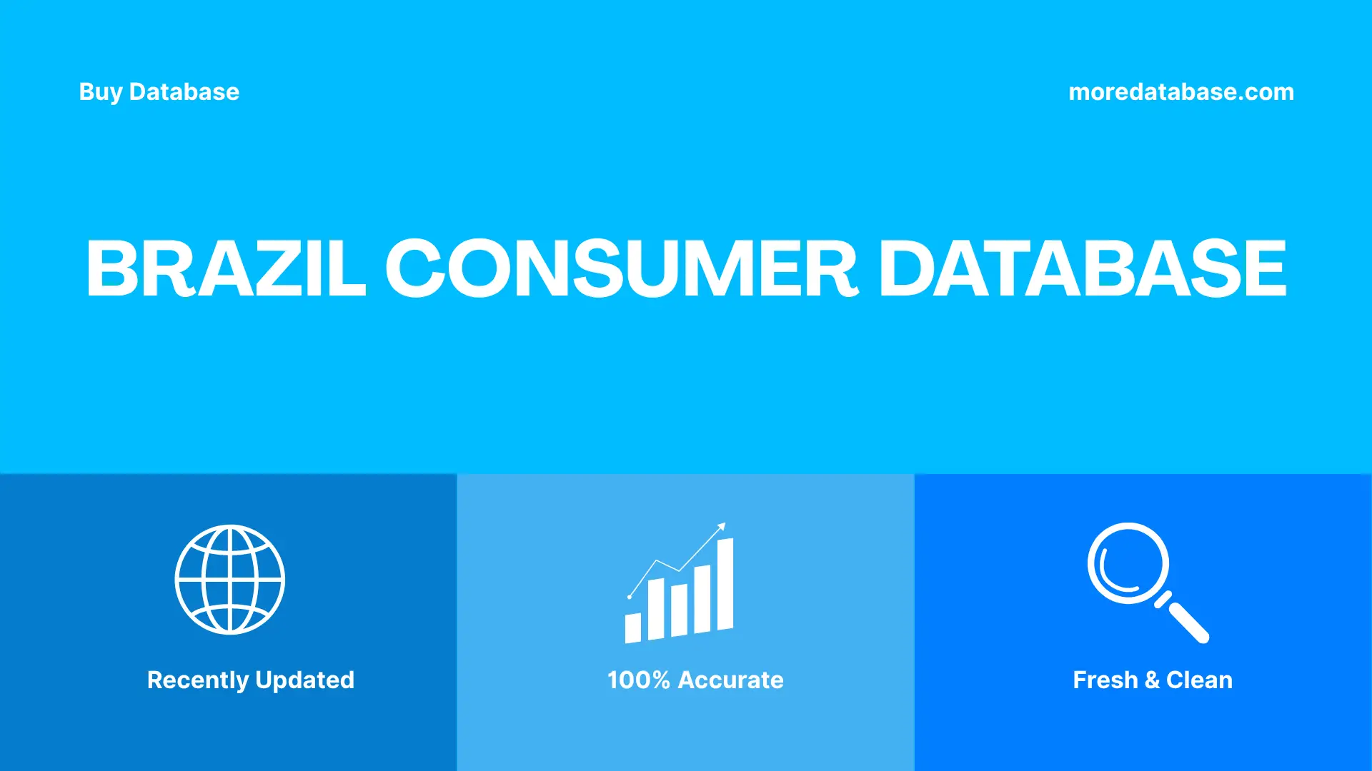 Brazil Consumer Database 100K Package
