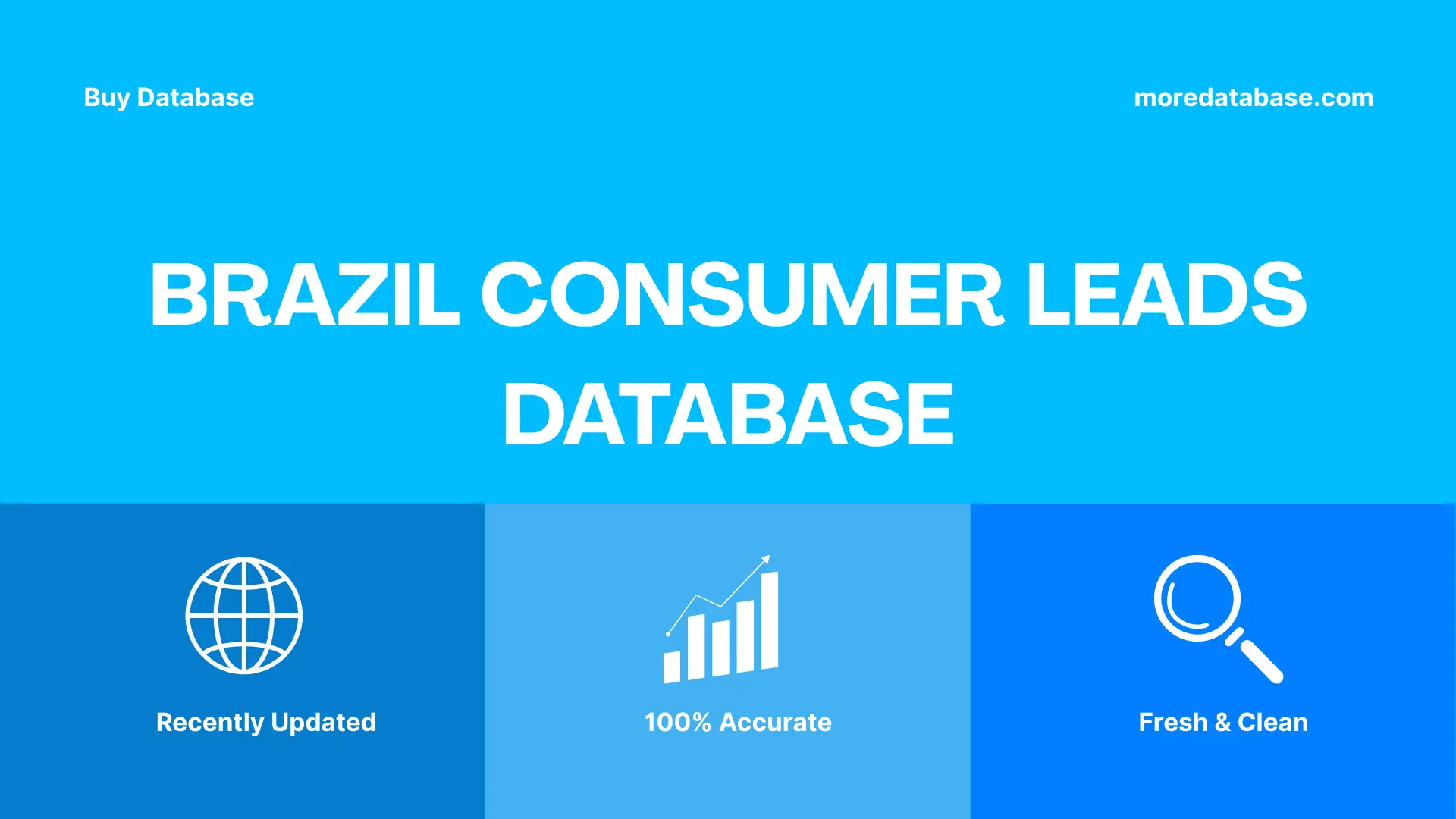 Brazil Consumer Leads Database 1 Million Package