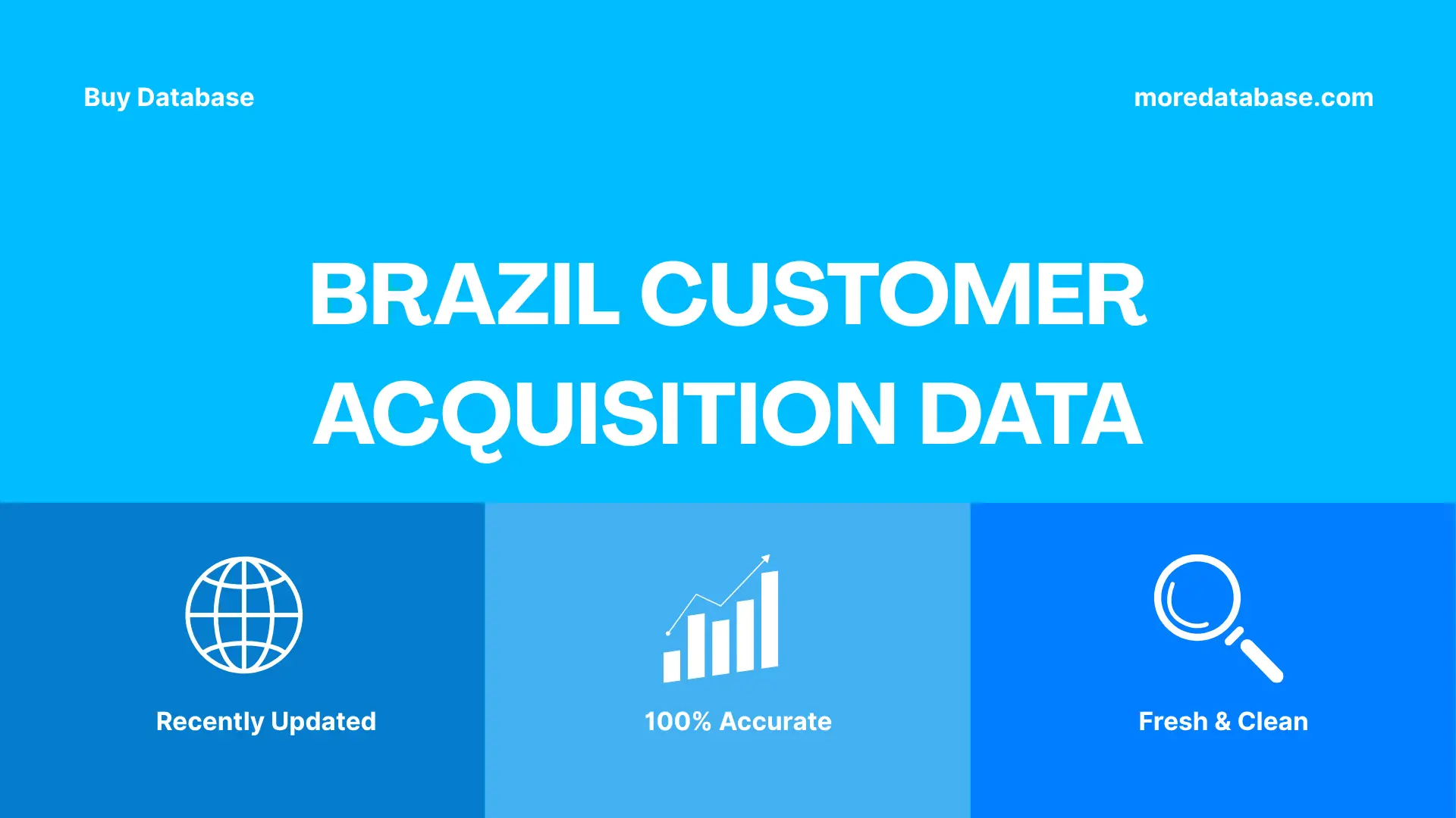Brazil Customer Acquisition Data 500K Package