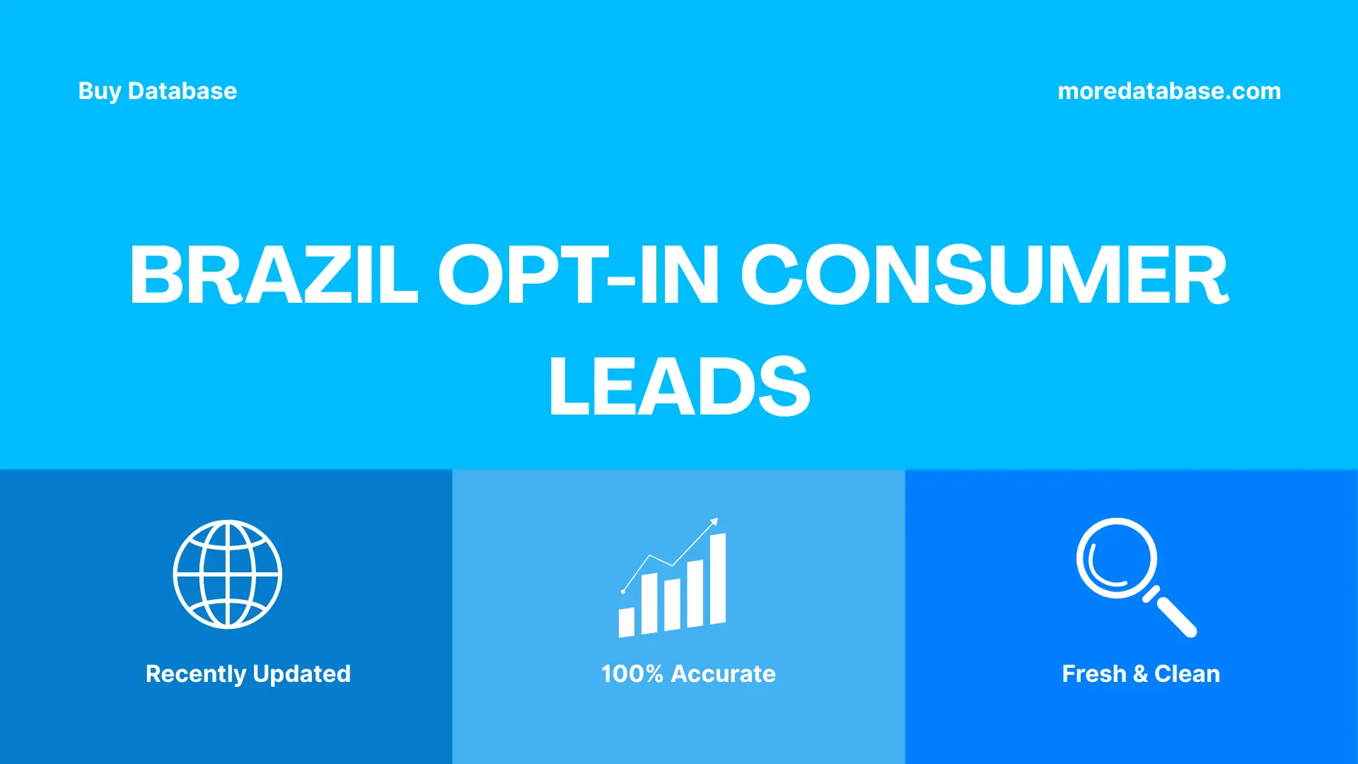 Brazil Opt-In Consumer Leads 100K Package