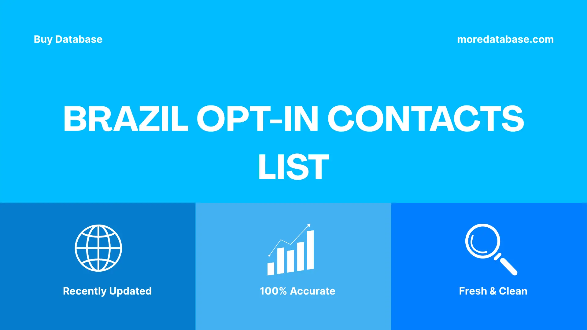 Brazil Opt-In Contacts List Trial Package