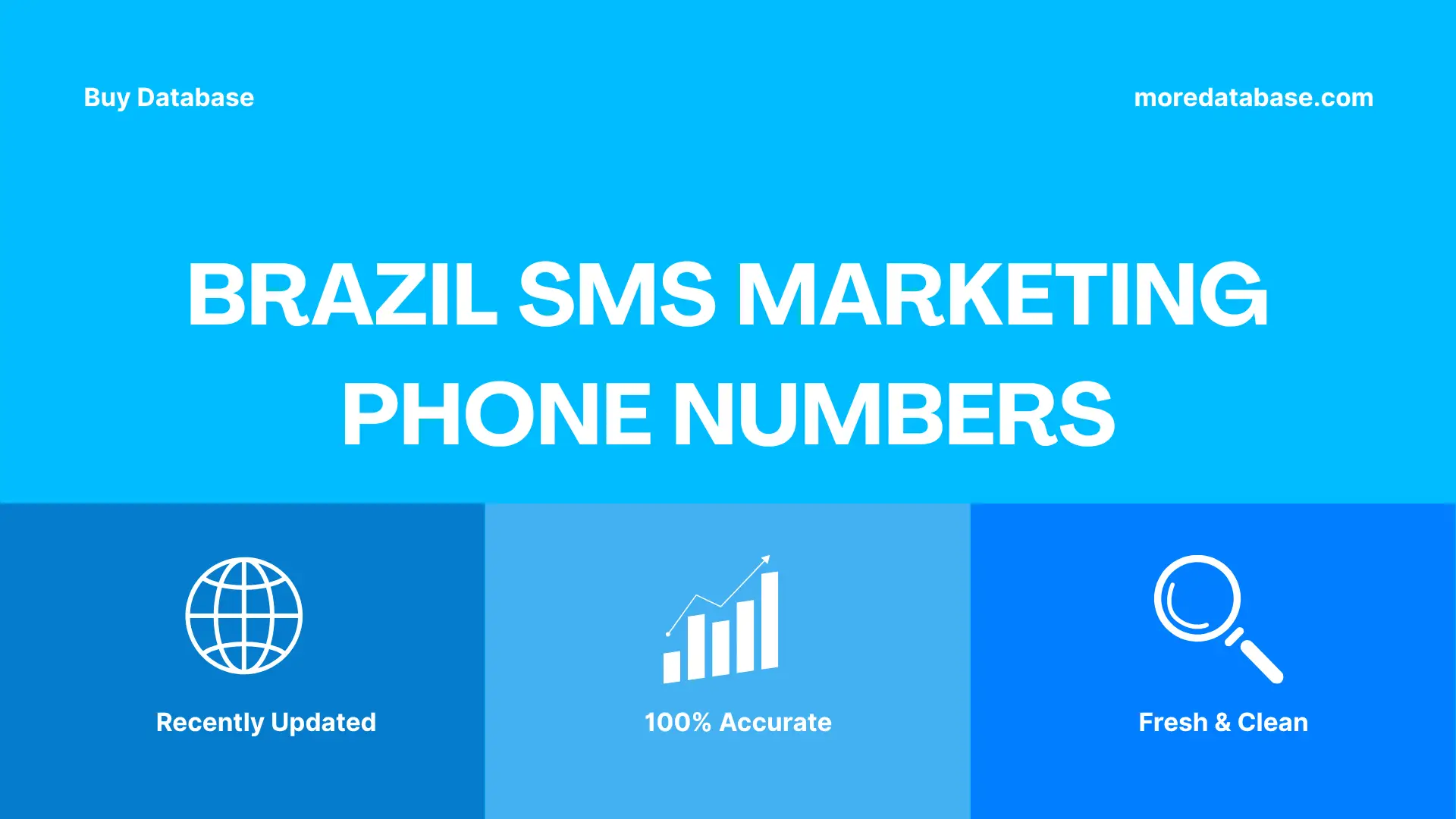 Brazil SMS Marketing Phone Numbers 100K Package