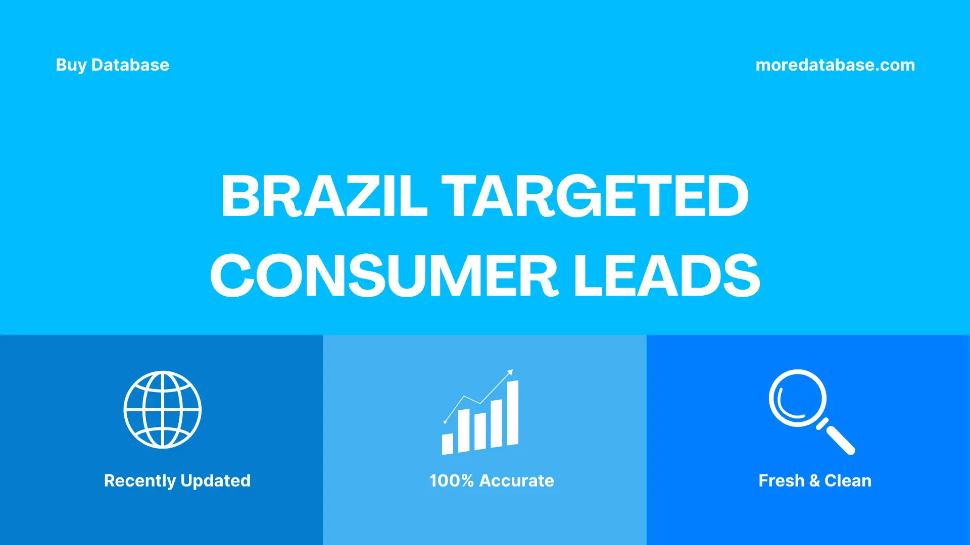 Brazil Targeted Consumer Leads 500K Package