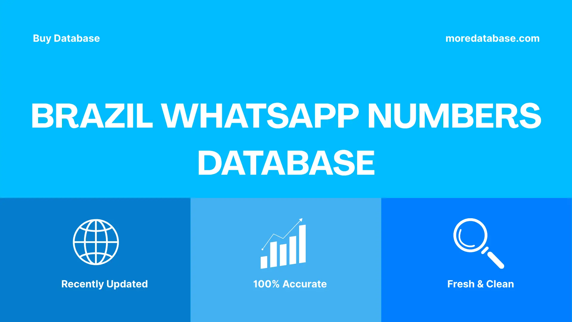 Brazil WhatsApp Numbers Database 100K Package