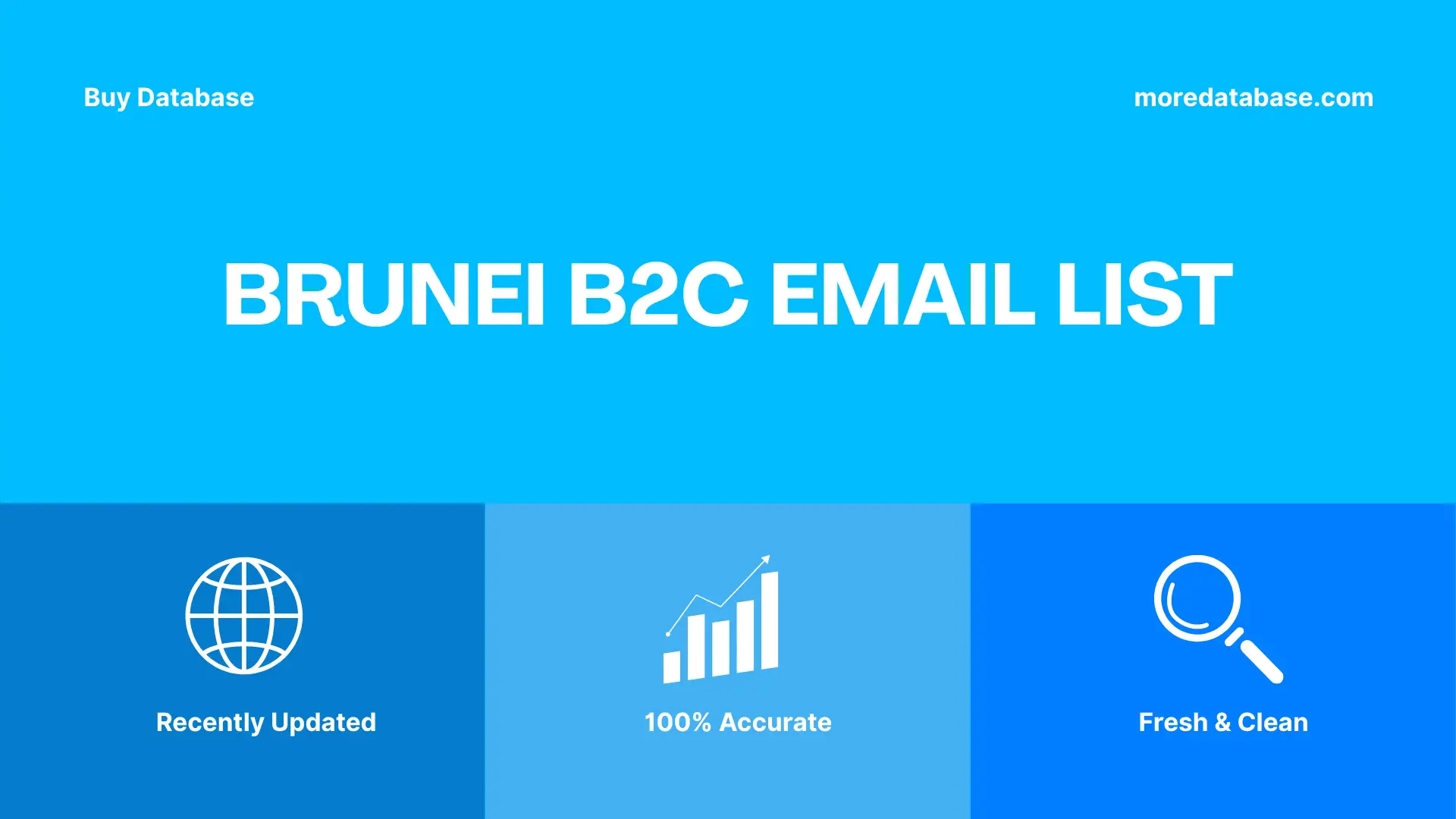 Brunei B2C Email List 45,083