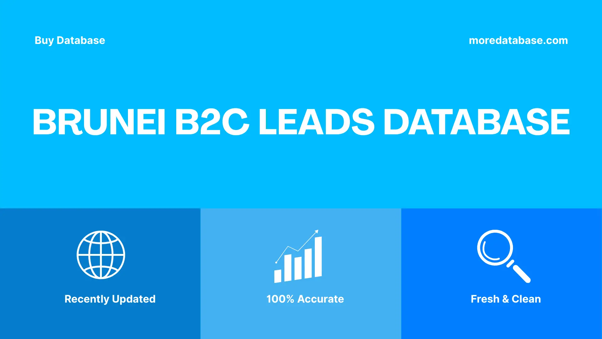 Brunei B2C Leads Database Trial Package