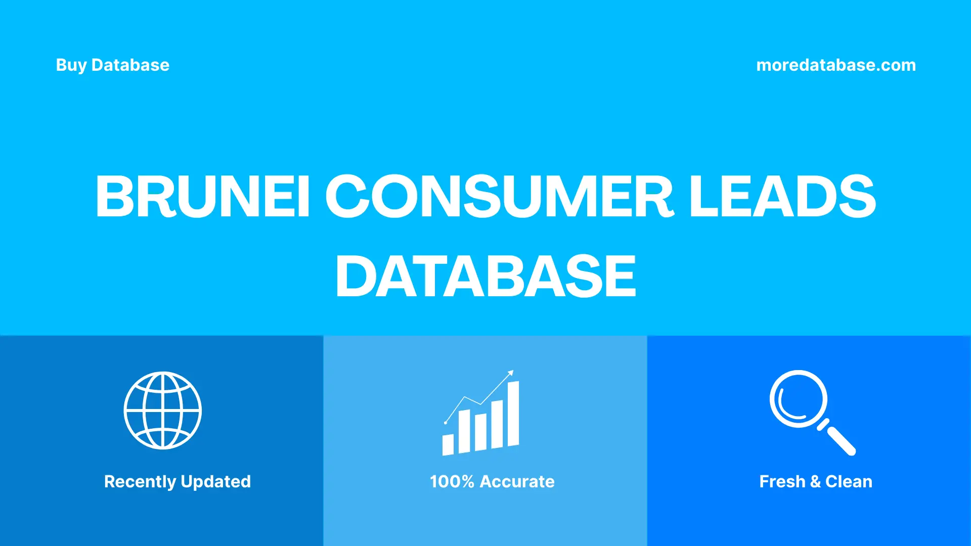 Brunei Consumer Leads Database Trial Package