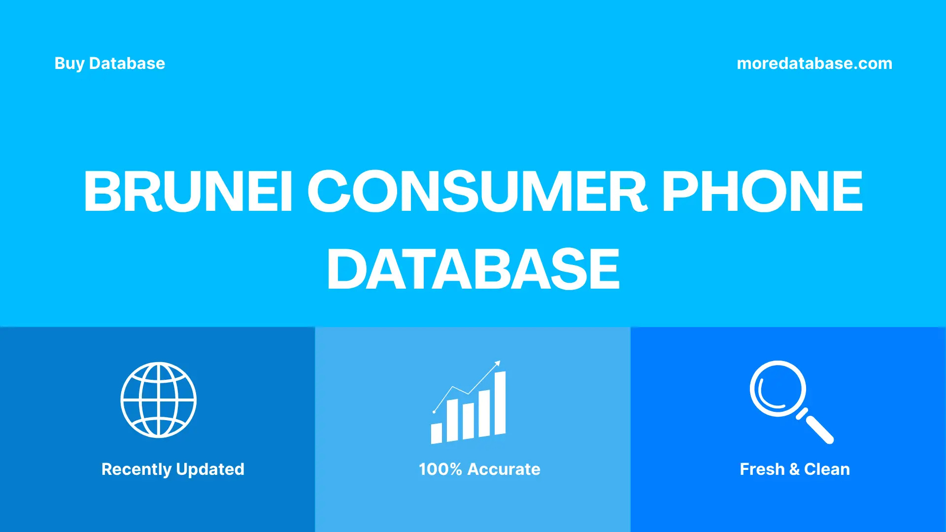 Brunei Consumer Phone Database Trial Package