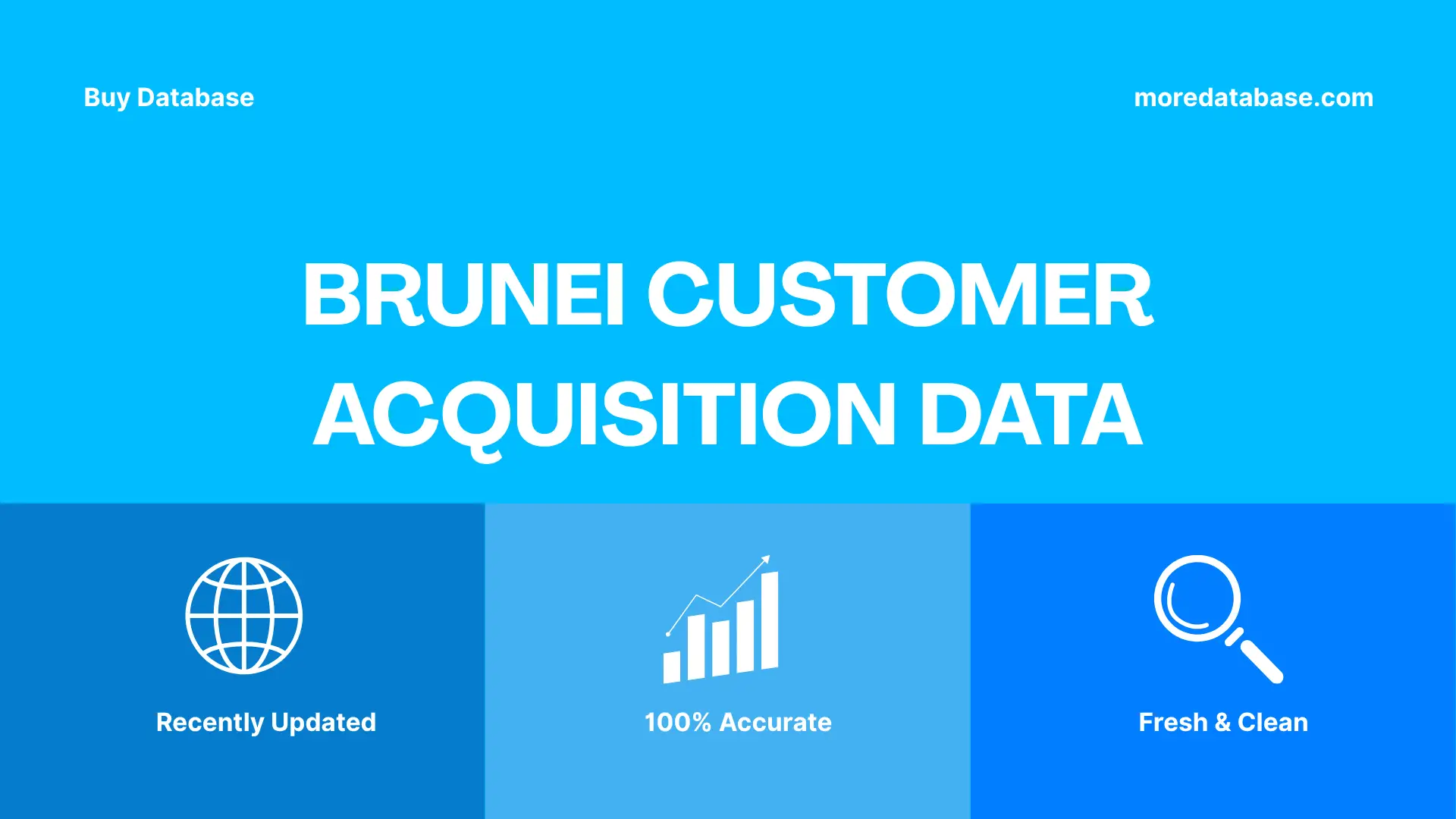Brunei Customer Acquisition Data Trial Package