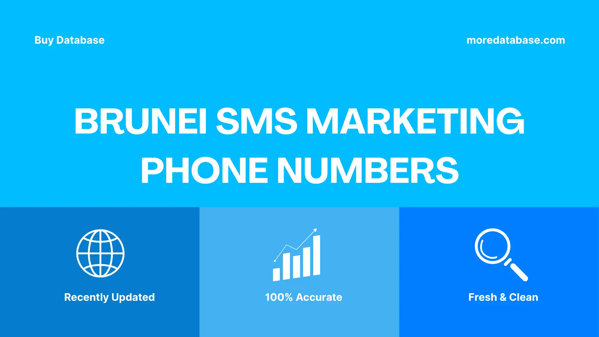 Brunei SMS Marketing Phone Numbers 100K Package