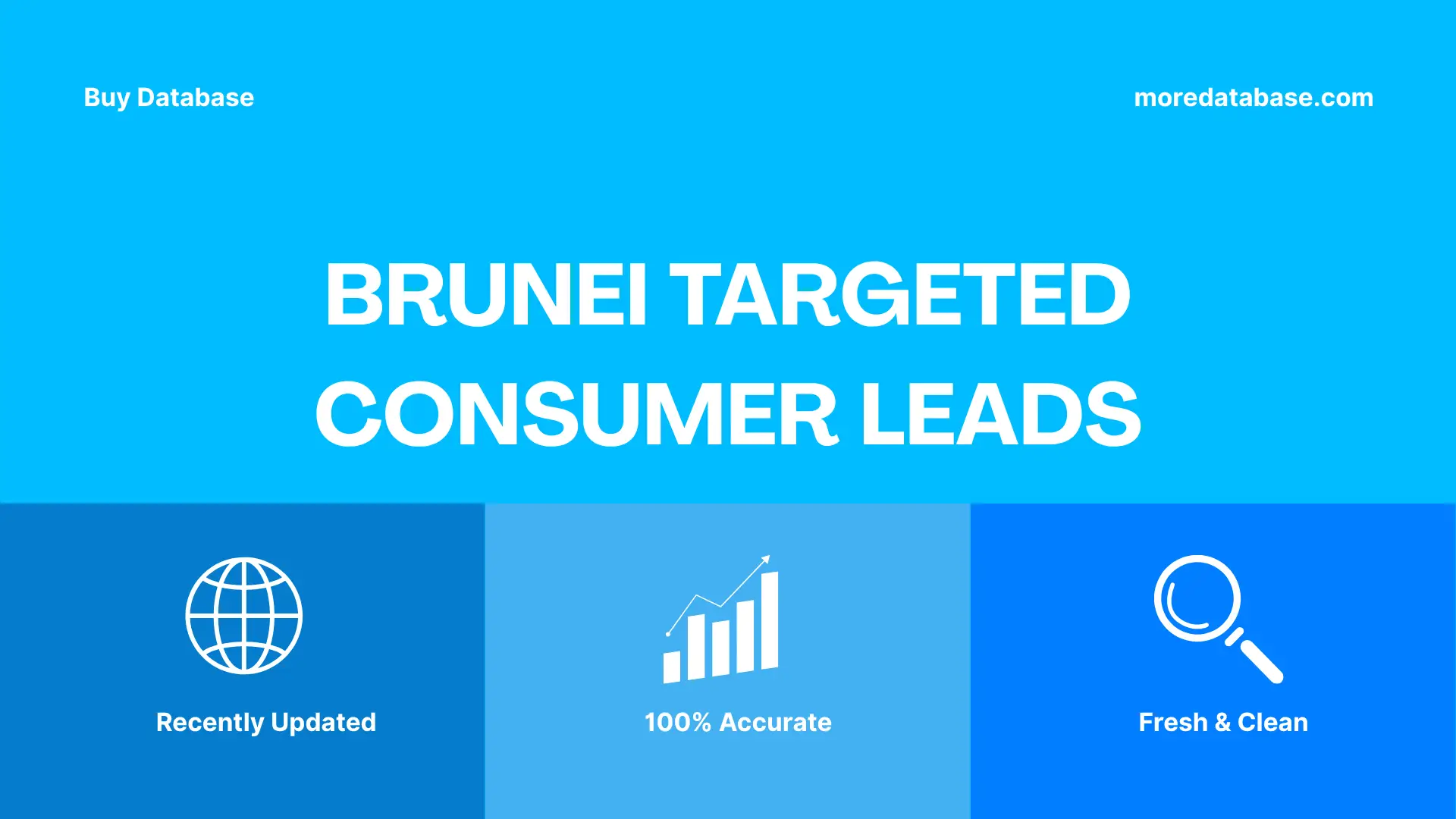 Brunei Targeted Consumer Leads Trial Package