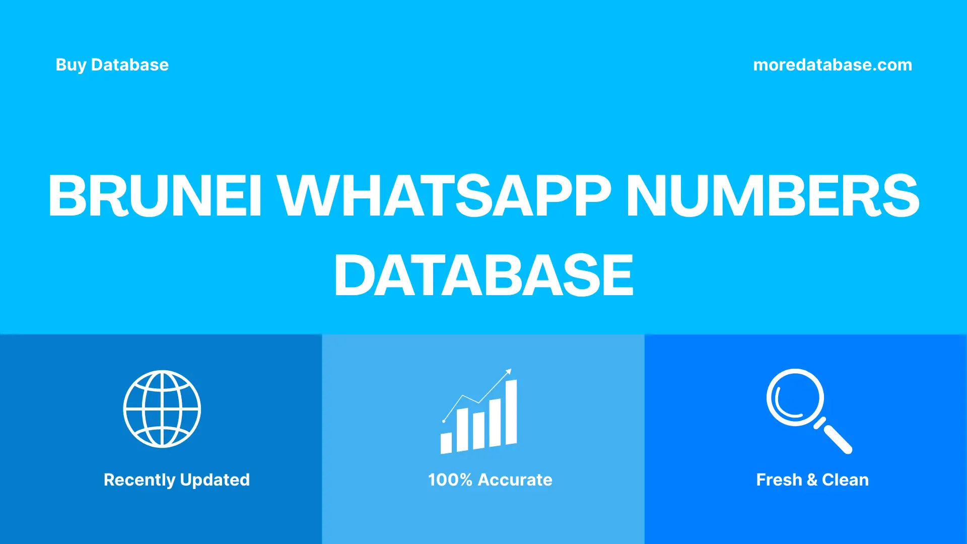 Brunei WhatsApp Numbers Database Trial Package