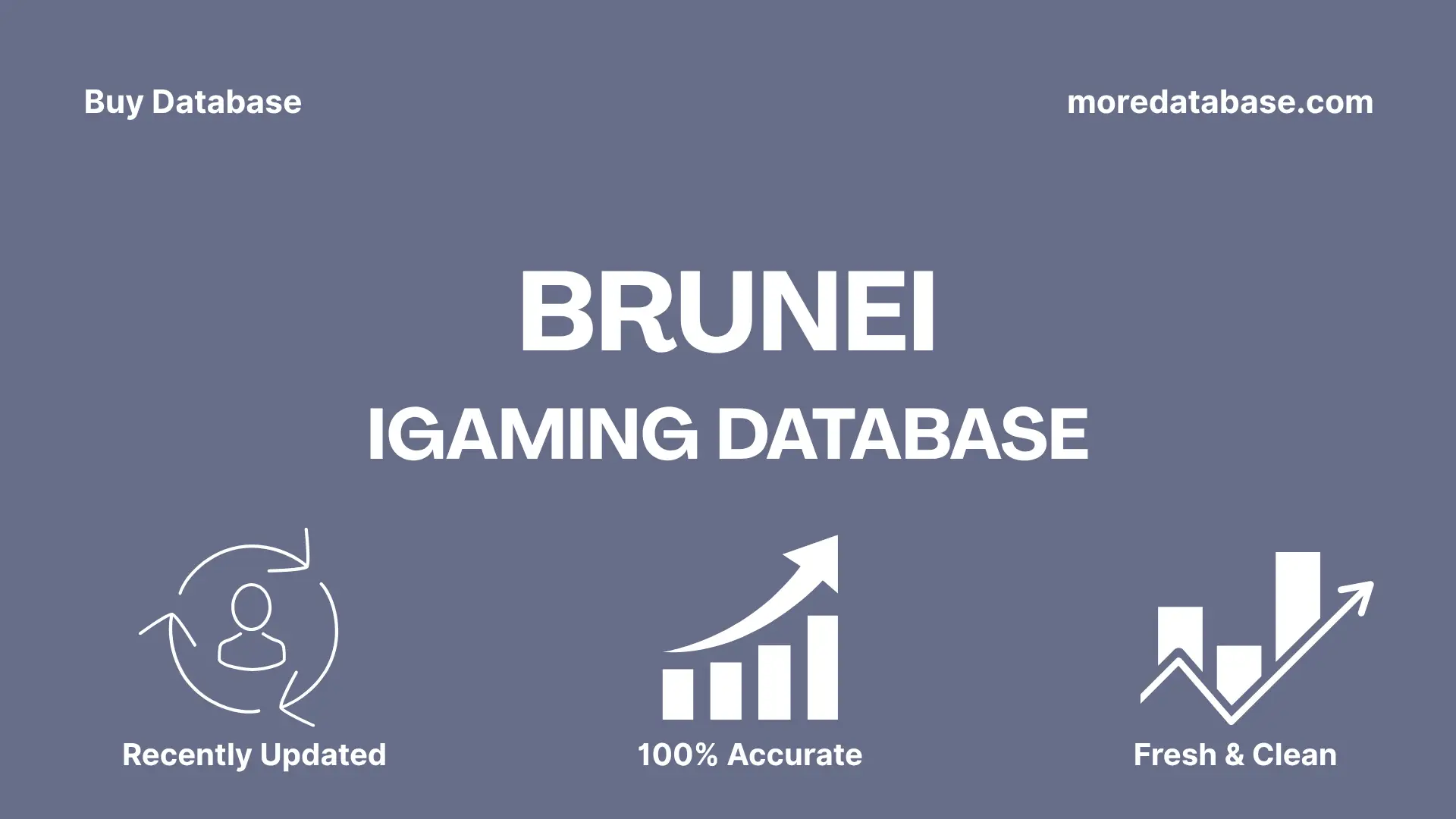 Brunei iGaming Database 1 Million Package