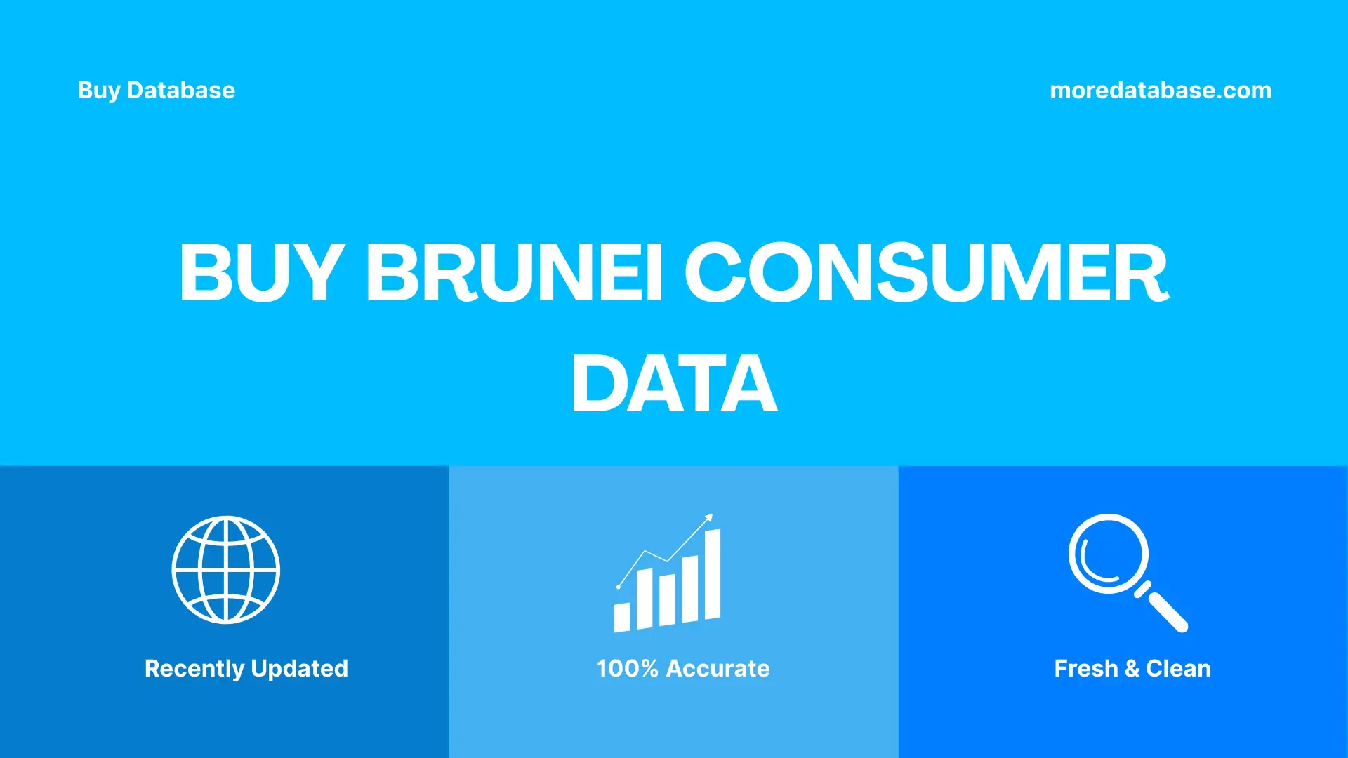 Buy Brunei Consumer Data Trial Package