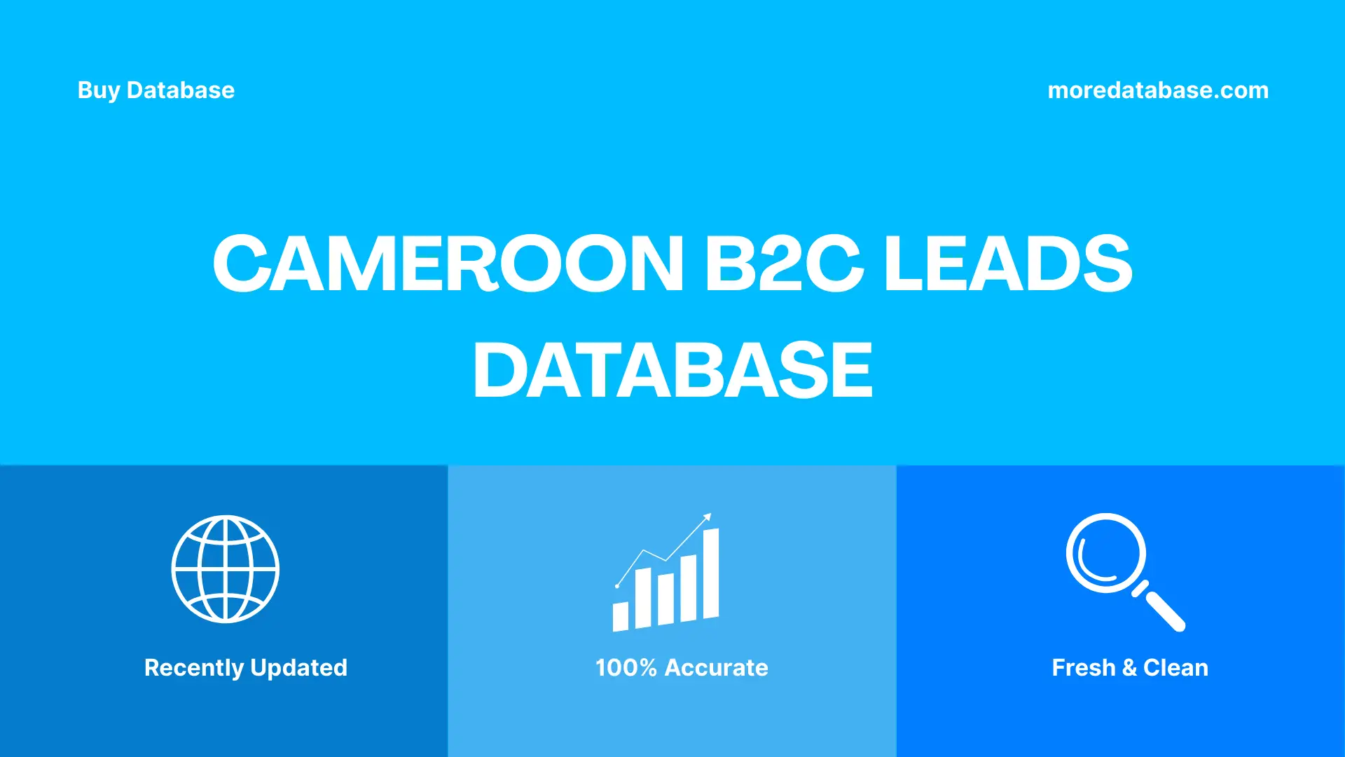 Cameroon B2C Leads Database Trial Package