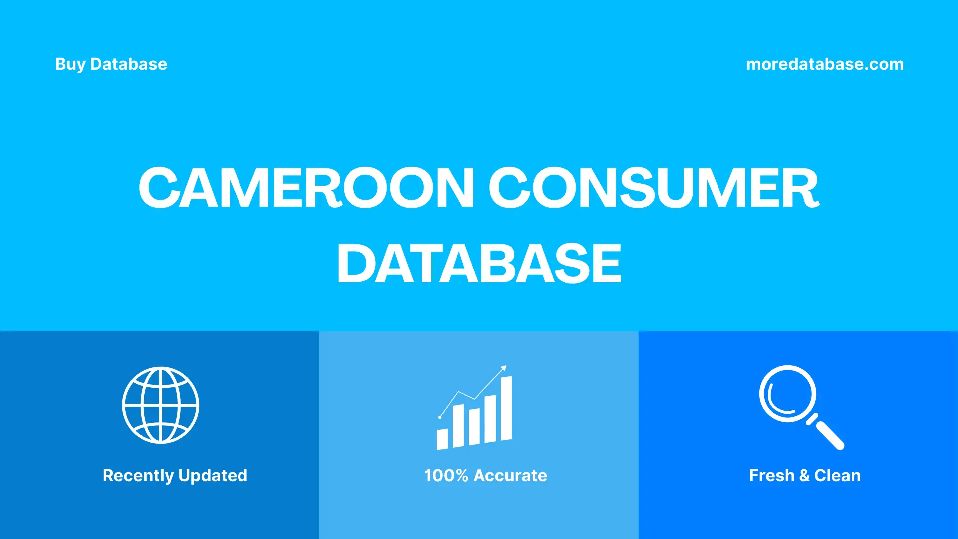Cameroon Consumer Database Trial Package