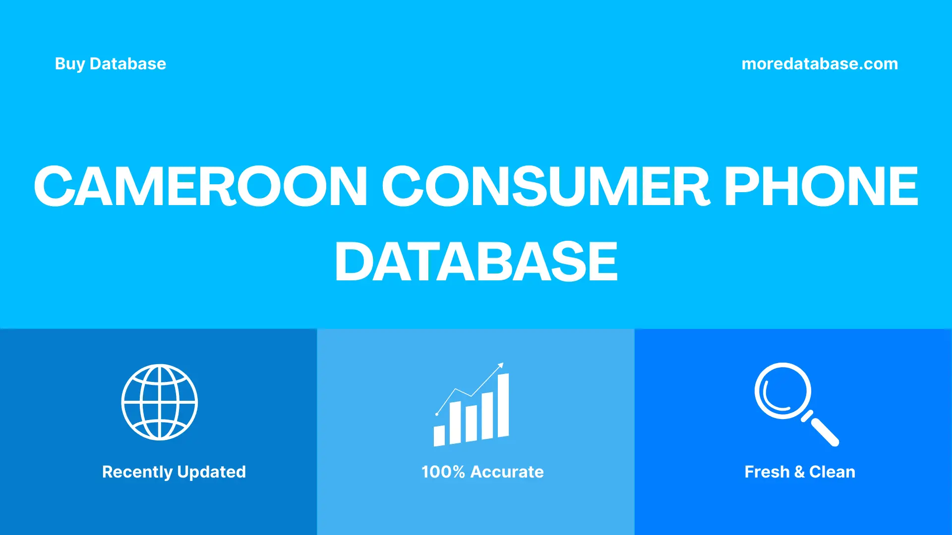 Cameroon Consumer Phone Database Trial Package