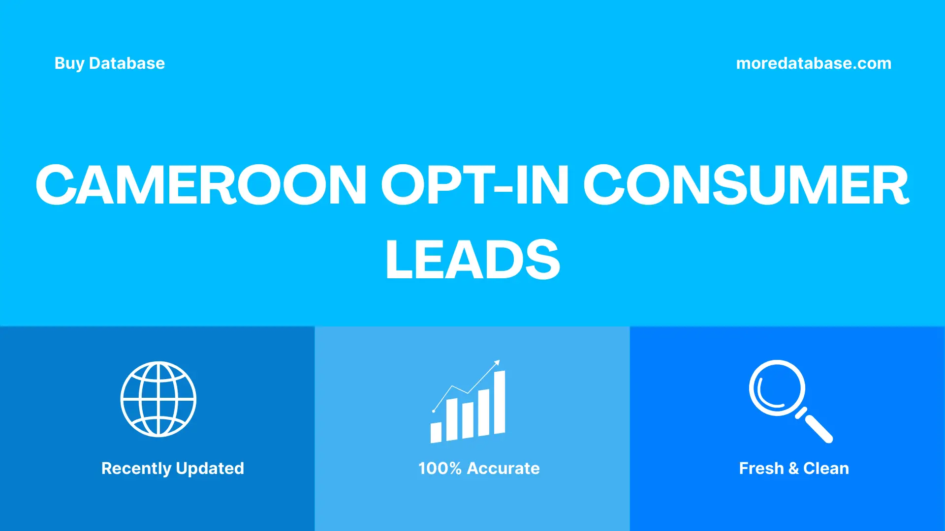 Cameroon Opt-In Consumer Leads Trial Package