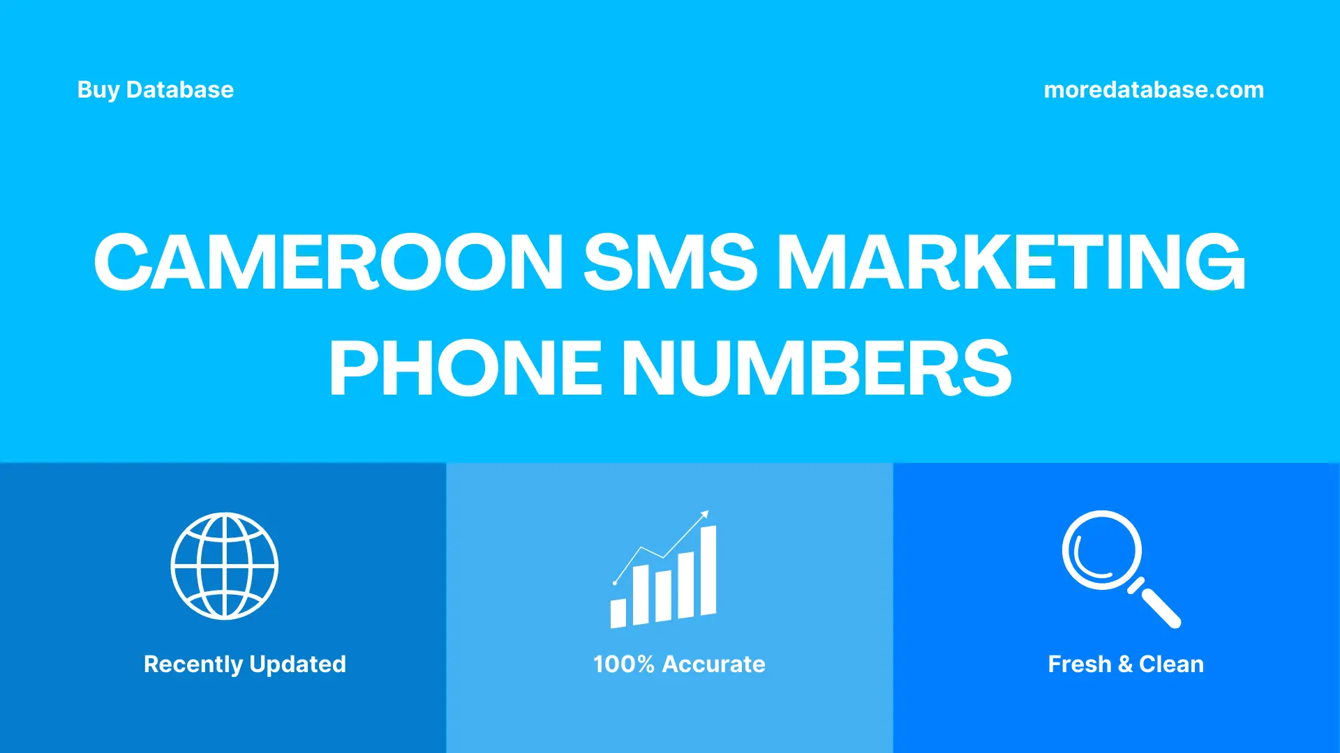 Cameroon SMS Marketing Phone Numbers 100K Package