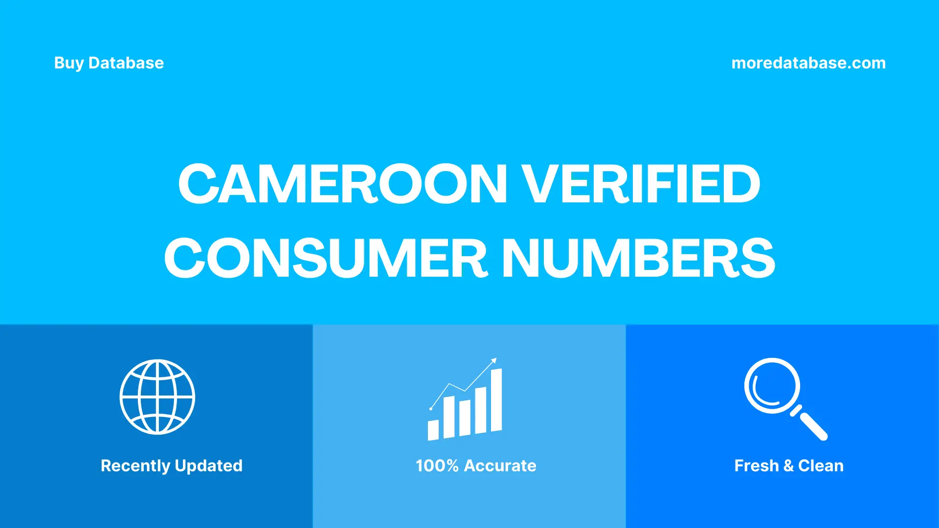 Cameroon Verified Consumer Numbers Trial Package